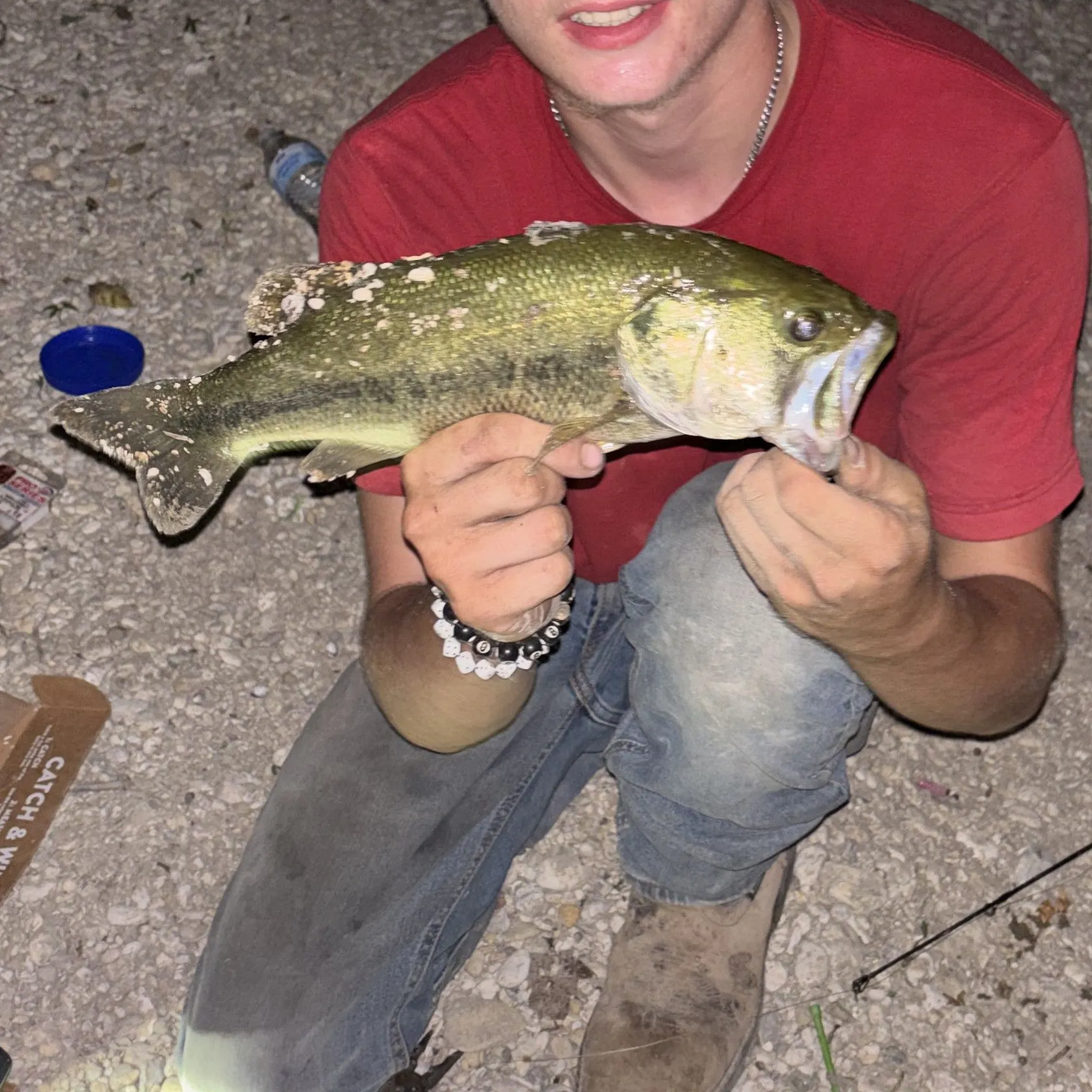 Largemouth bass caught on Fishbrain
