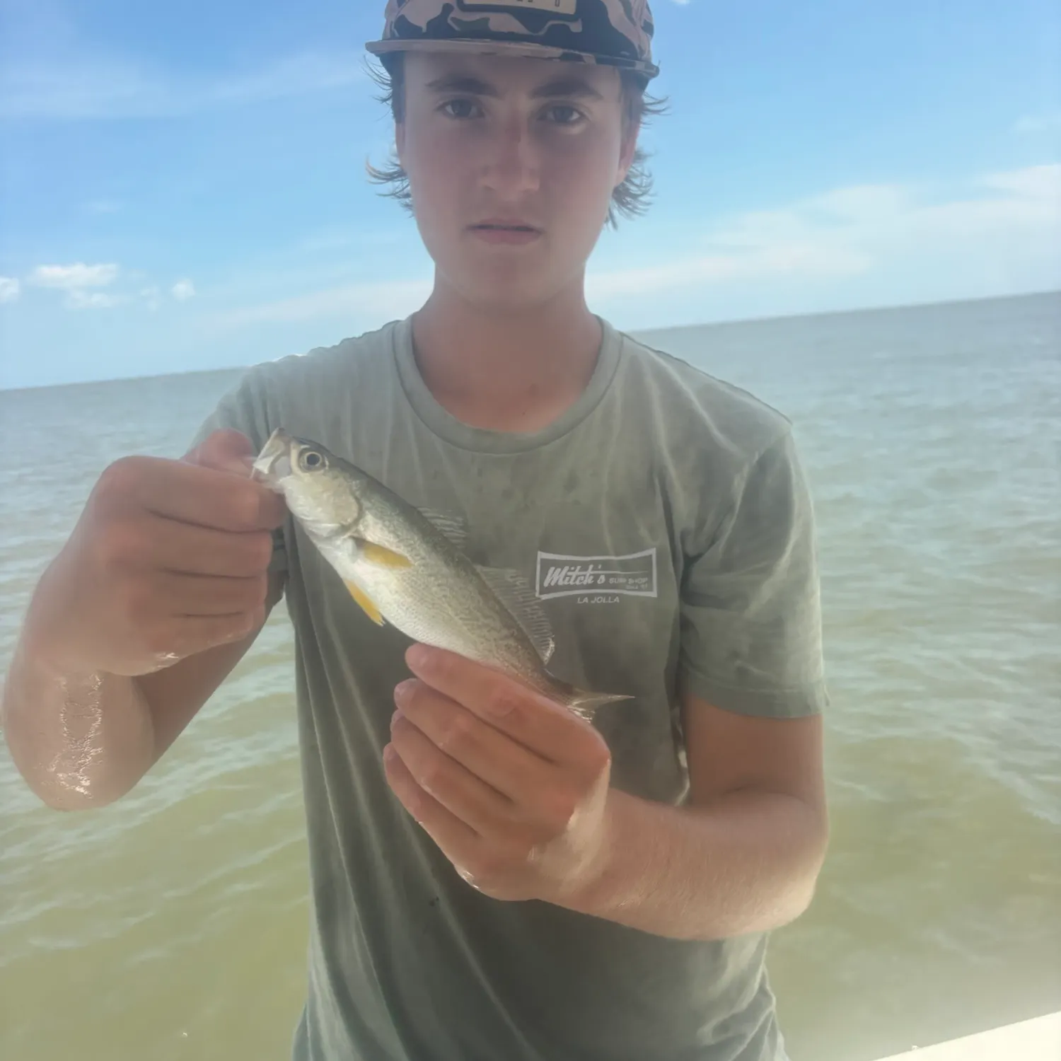 The most recent Gray weakfish catches on Fishbrain