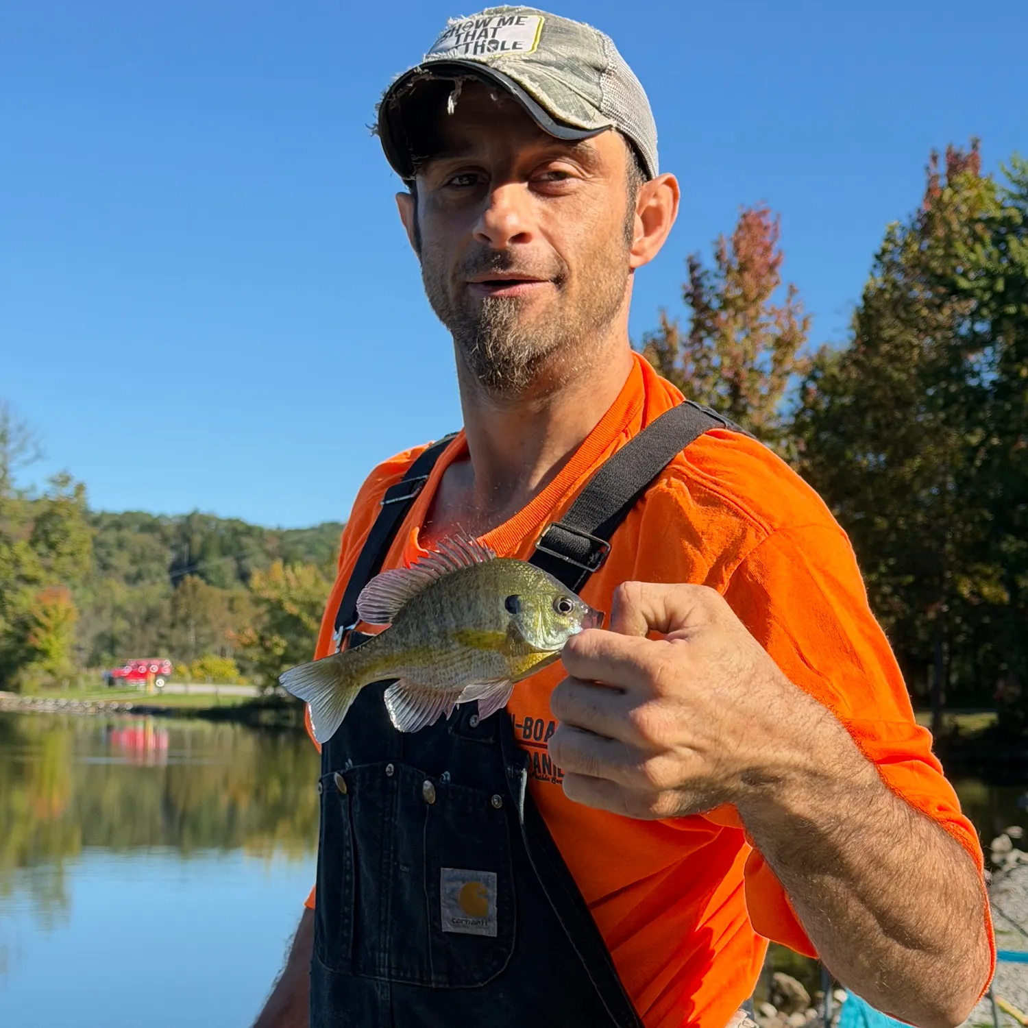 Bluegill caught on Fishbrain