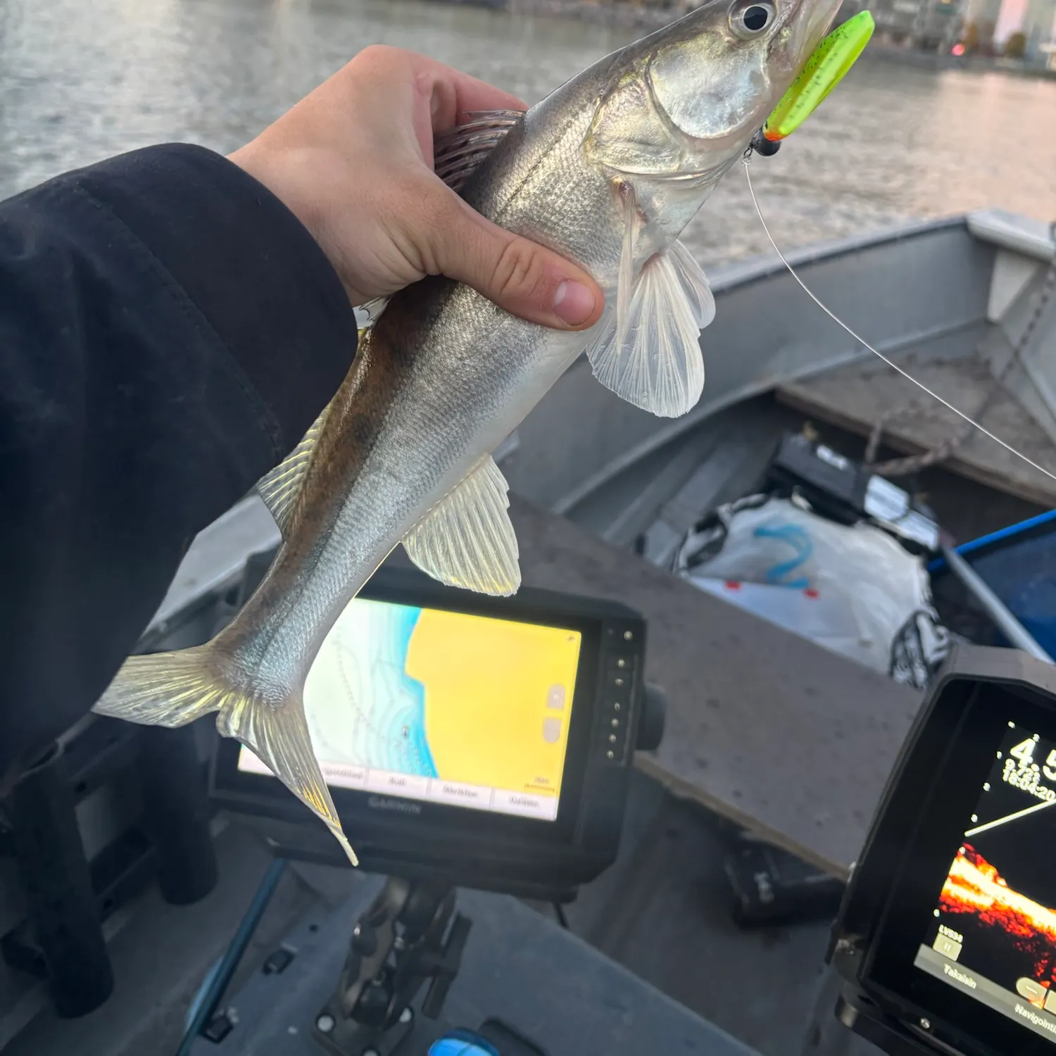 Zander caught on Fishbrain