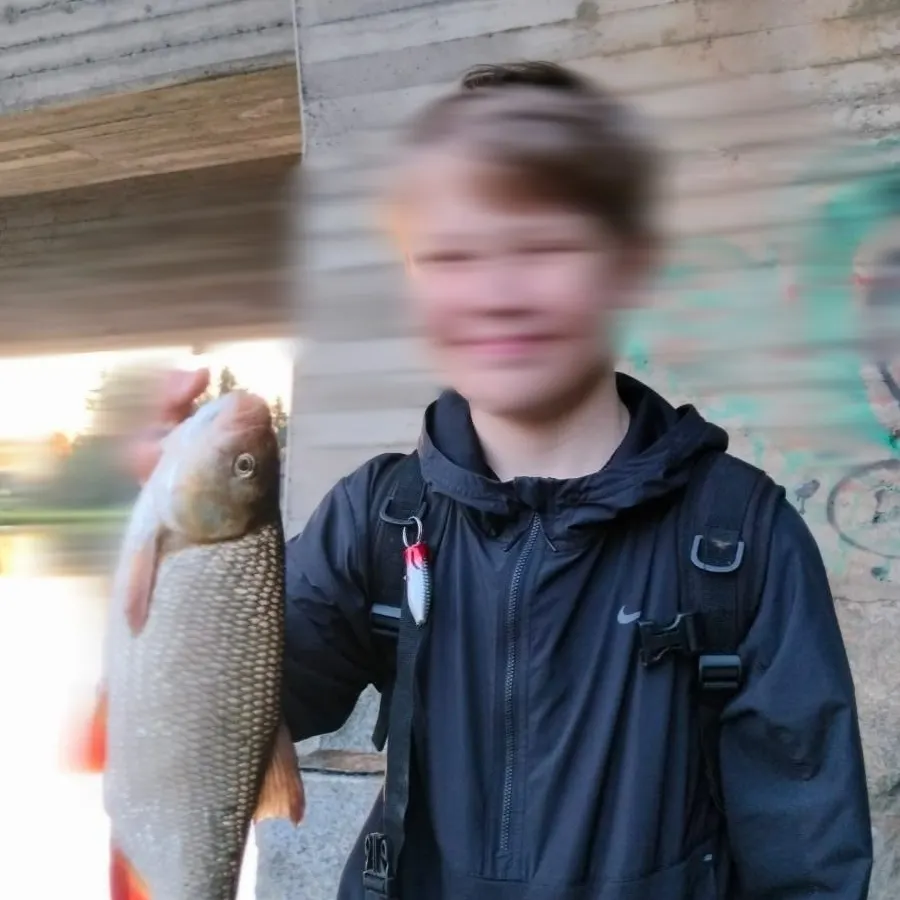 most liked catch image