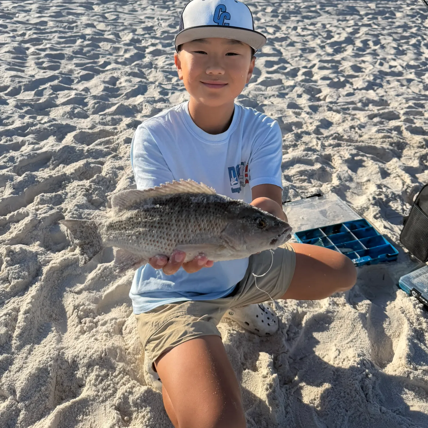Mangrove snapper caught on Fishbrain