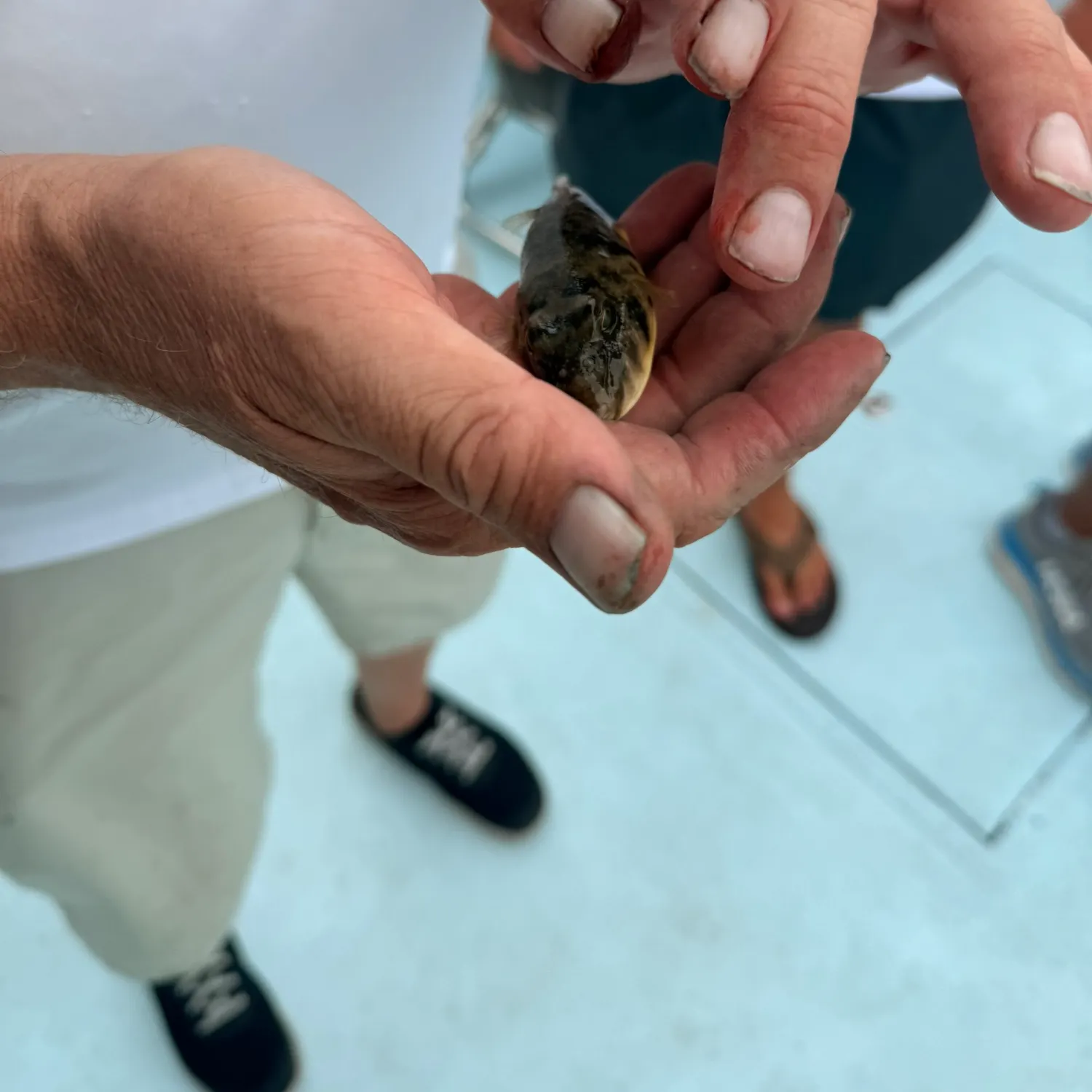 catch