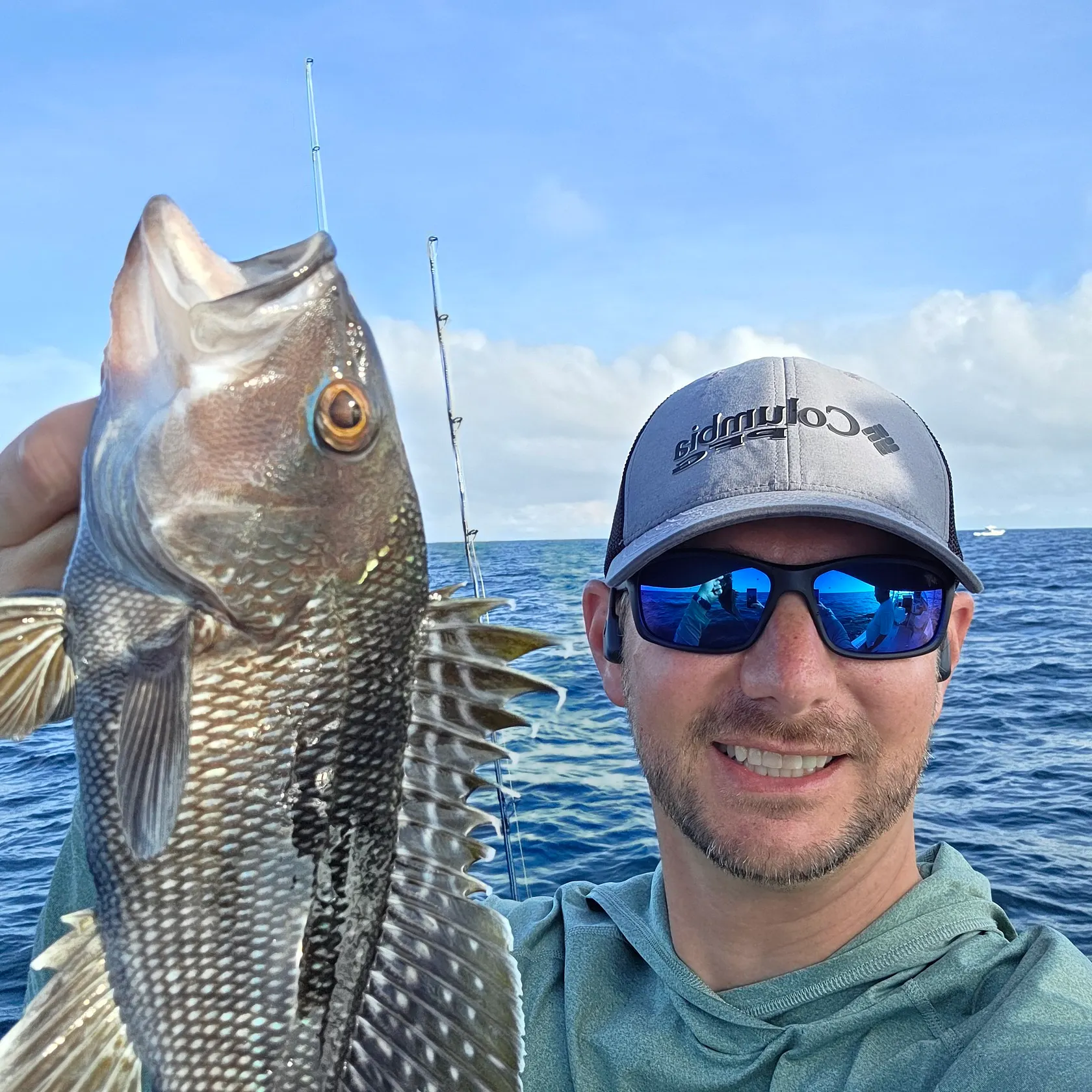 Black sea bass caught on Fishbrain