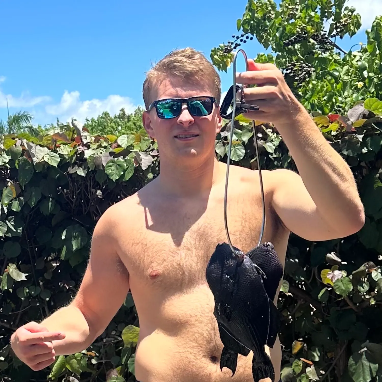 The most recent Black triggerfish catches on Fishbrain