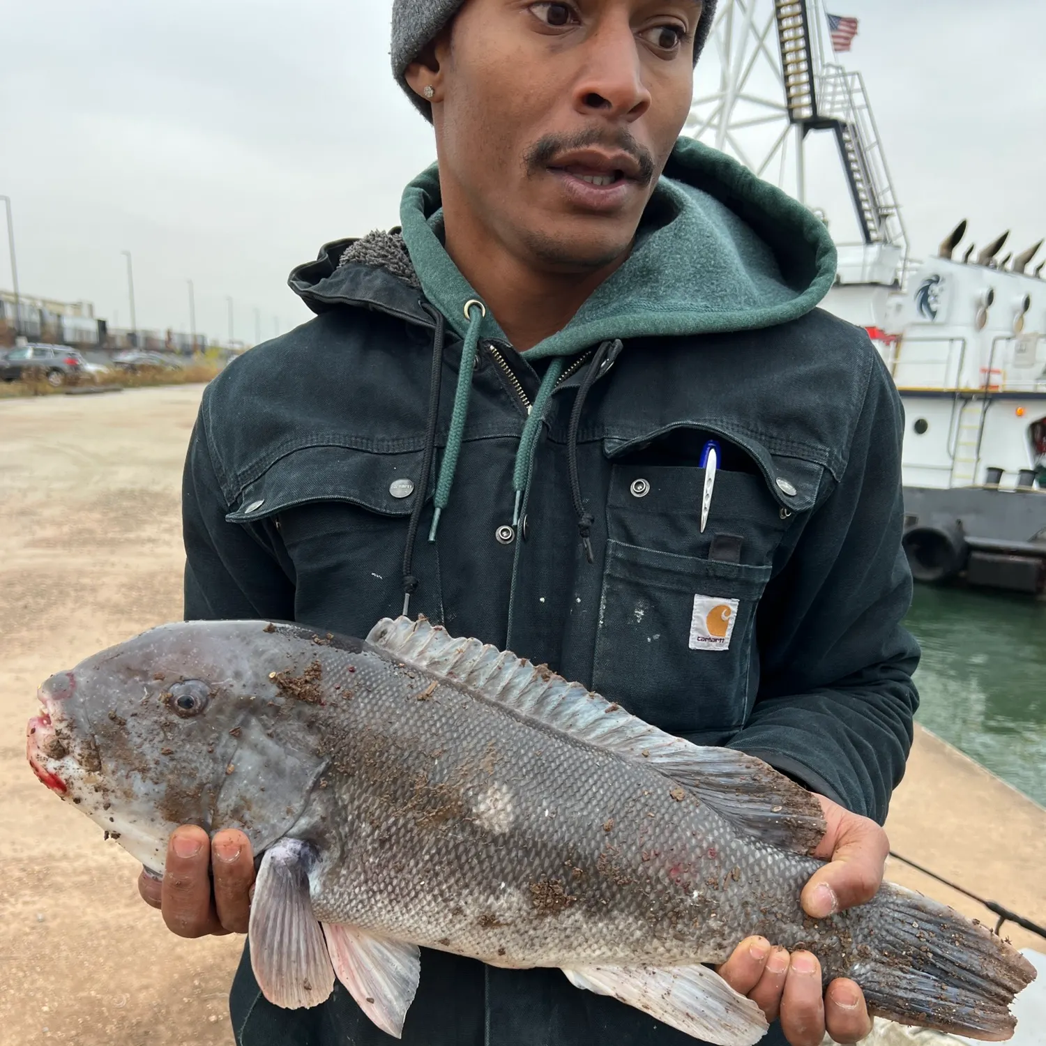 The most recent Tautog catches on Fishbrain