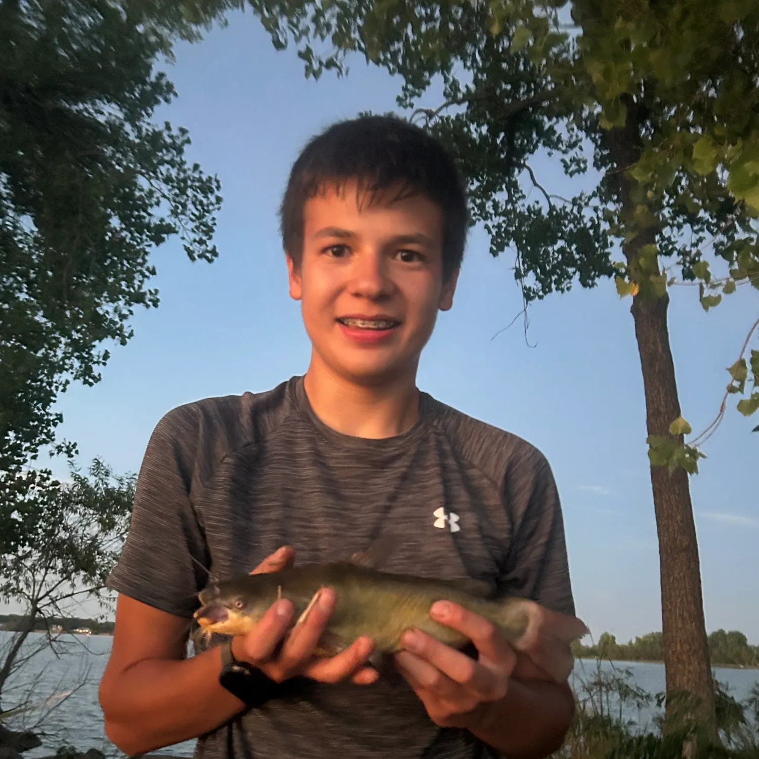 Yellow bullhead caught on Fishbrain