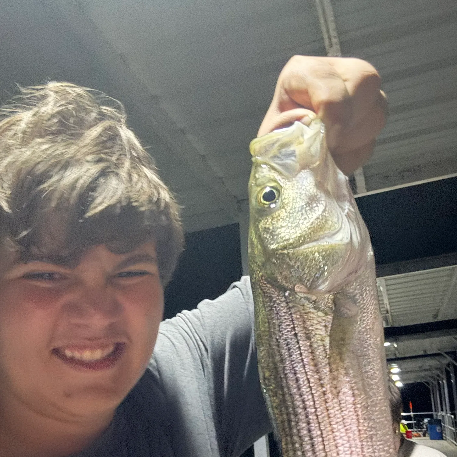 Striped bass caught on Fishbrain