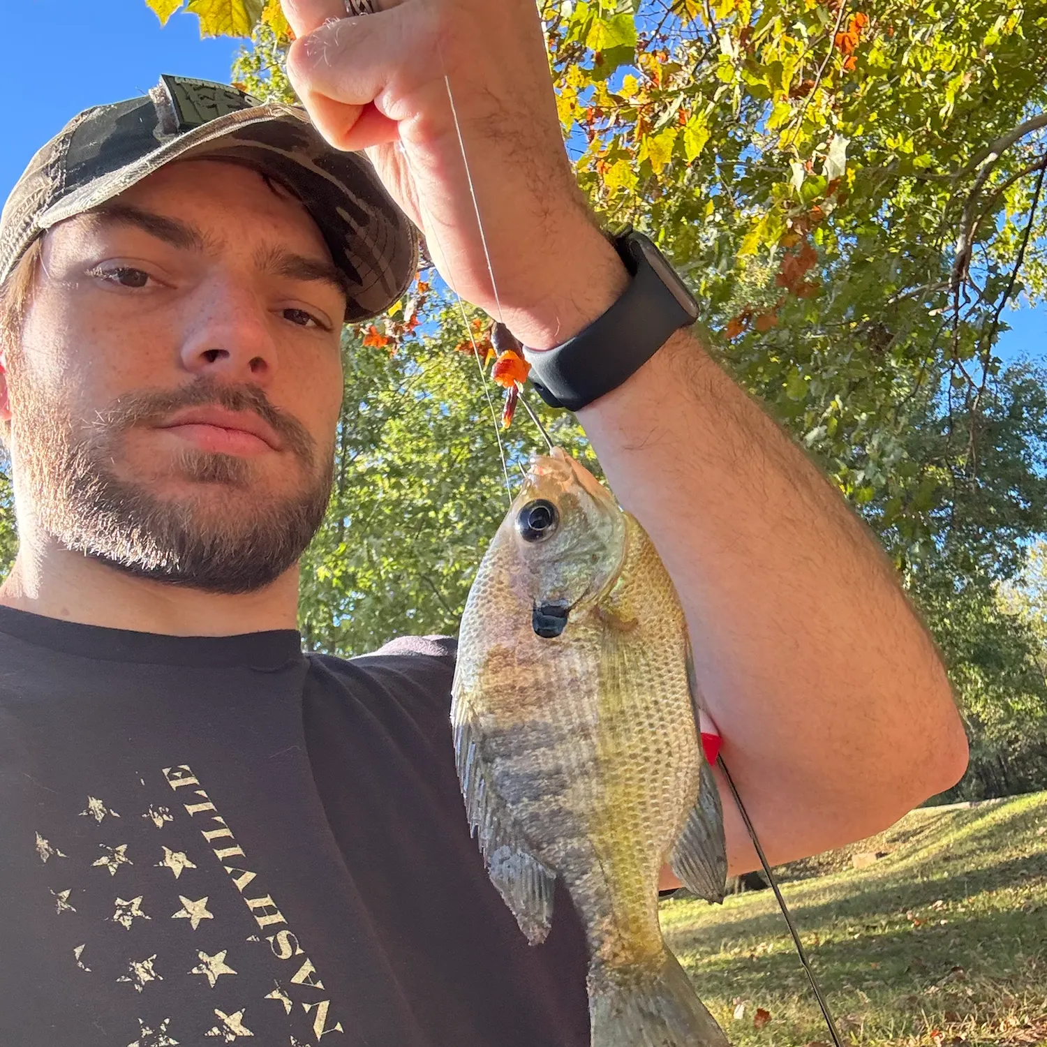 Bluegill caught on Fishbrain