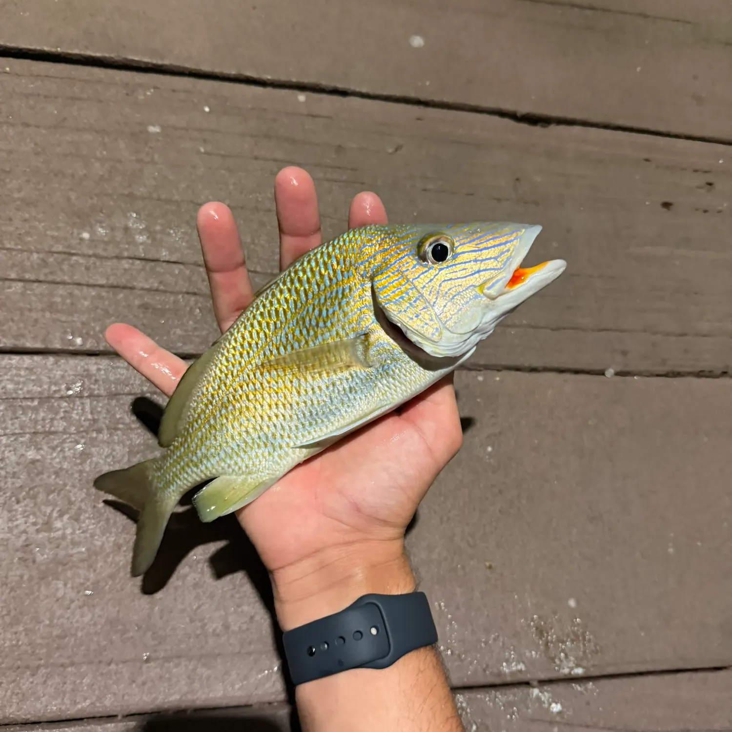catch