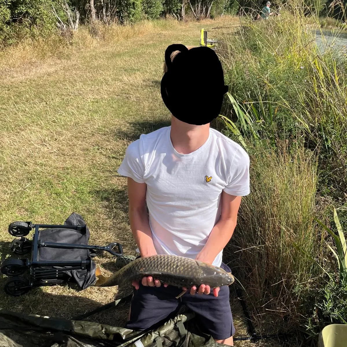 Common carp caught on Fishbrain