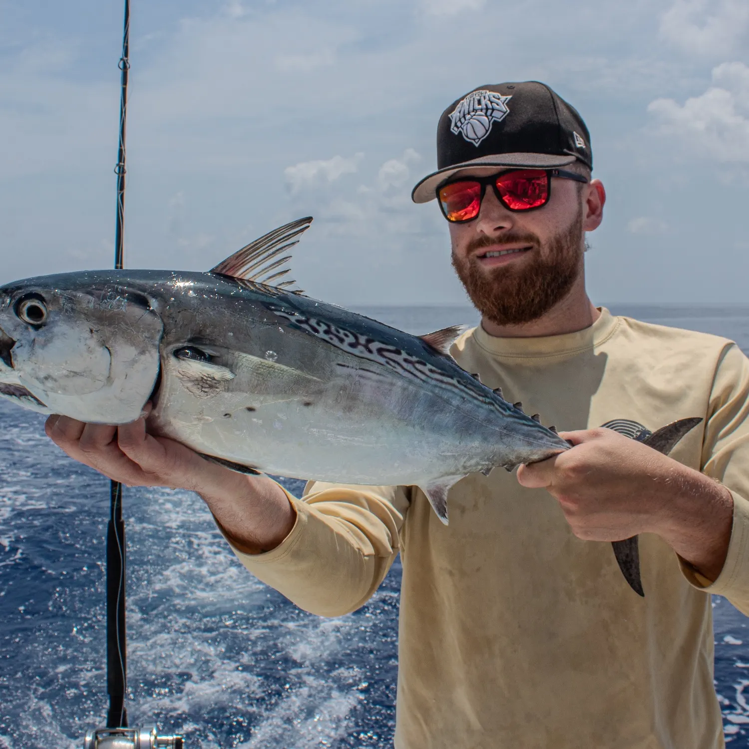 The most recent Little tunny catches on Fishbrain