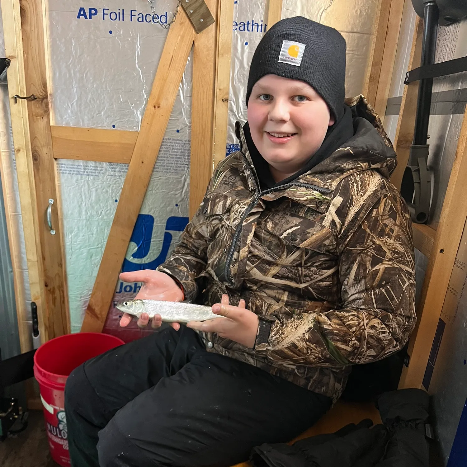 The most recent Northern cisco catches on Fishbrain