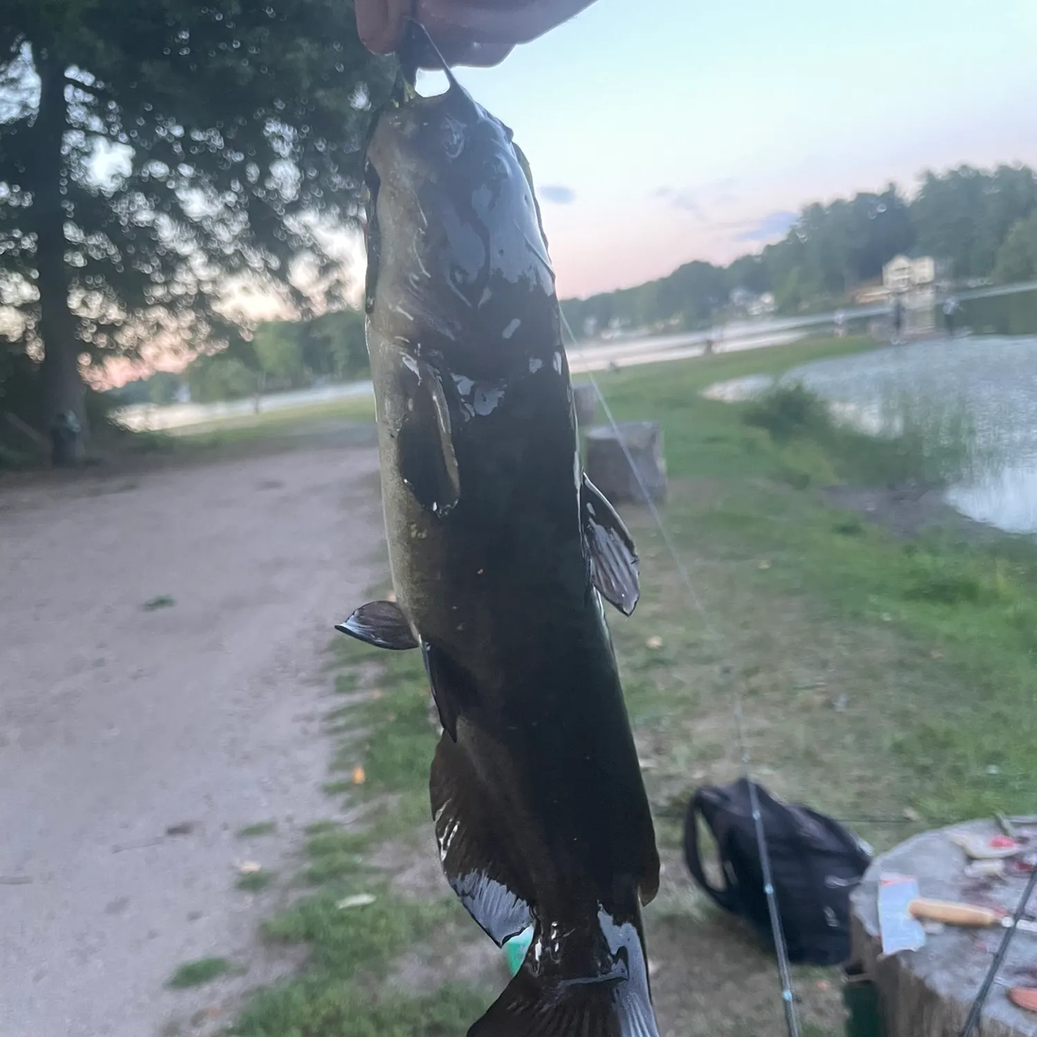 catch