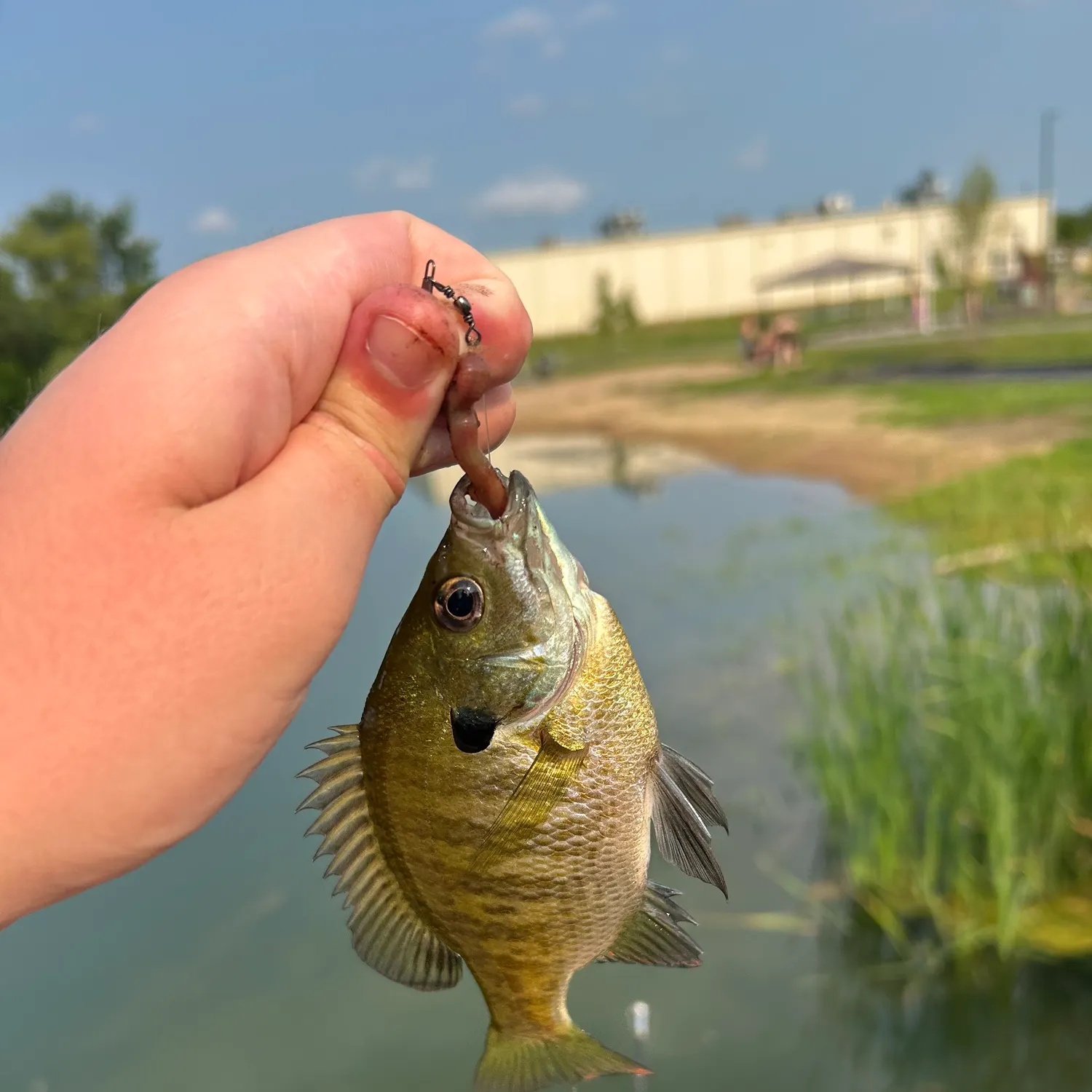 catch