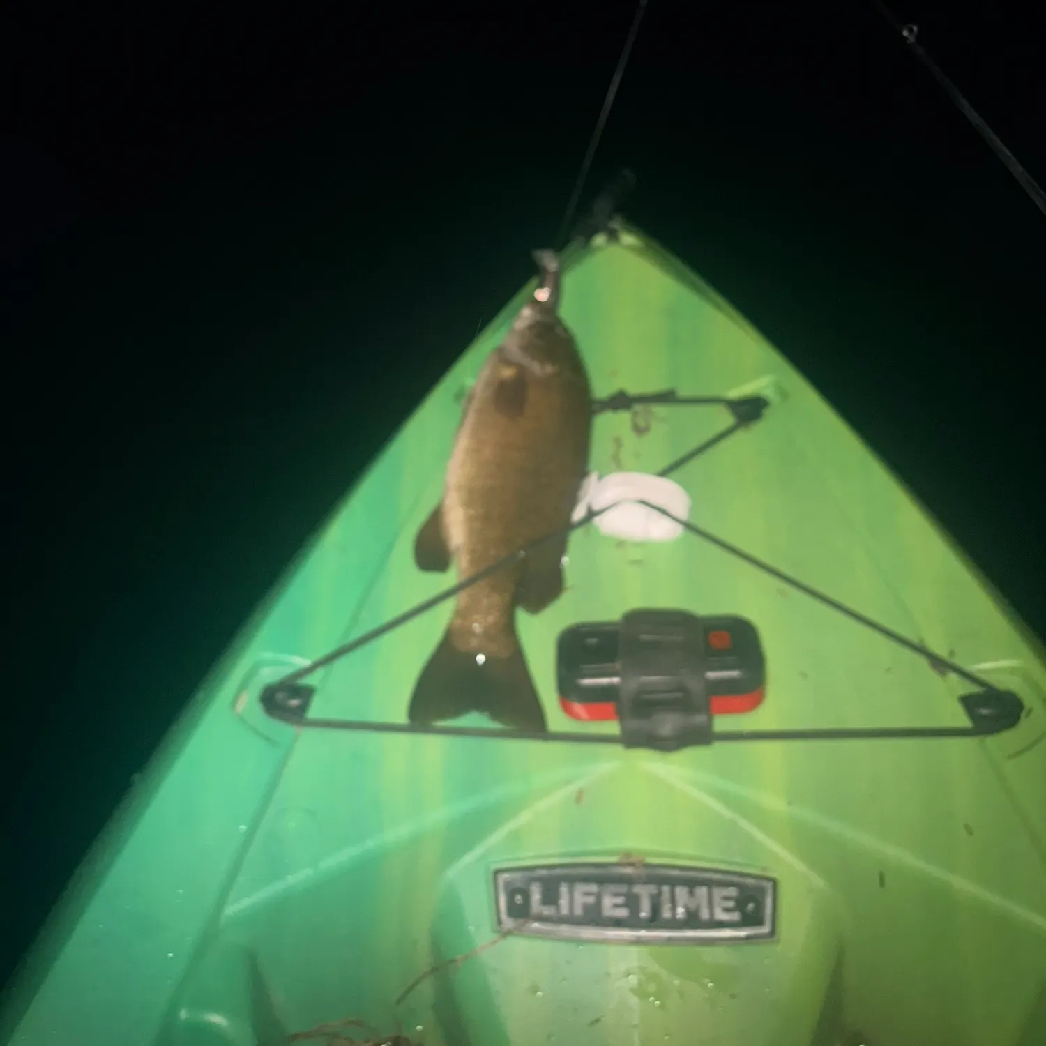Smallmouth bass caught on Fishbrain