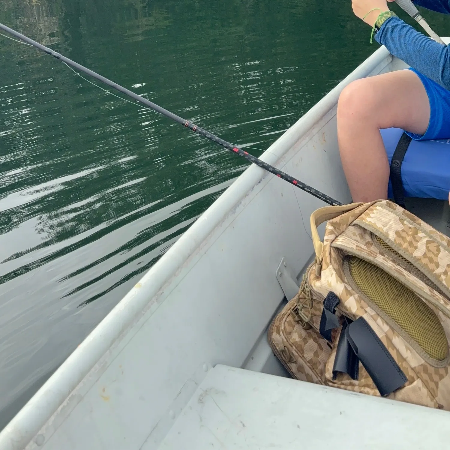 The most recent F1 bass catches on Fishbrain