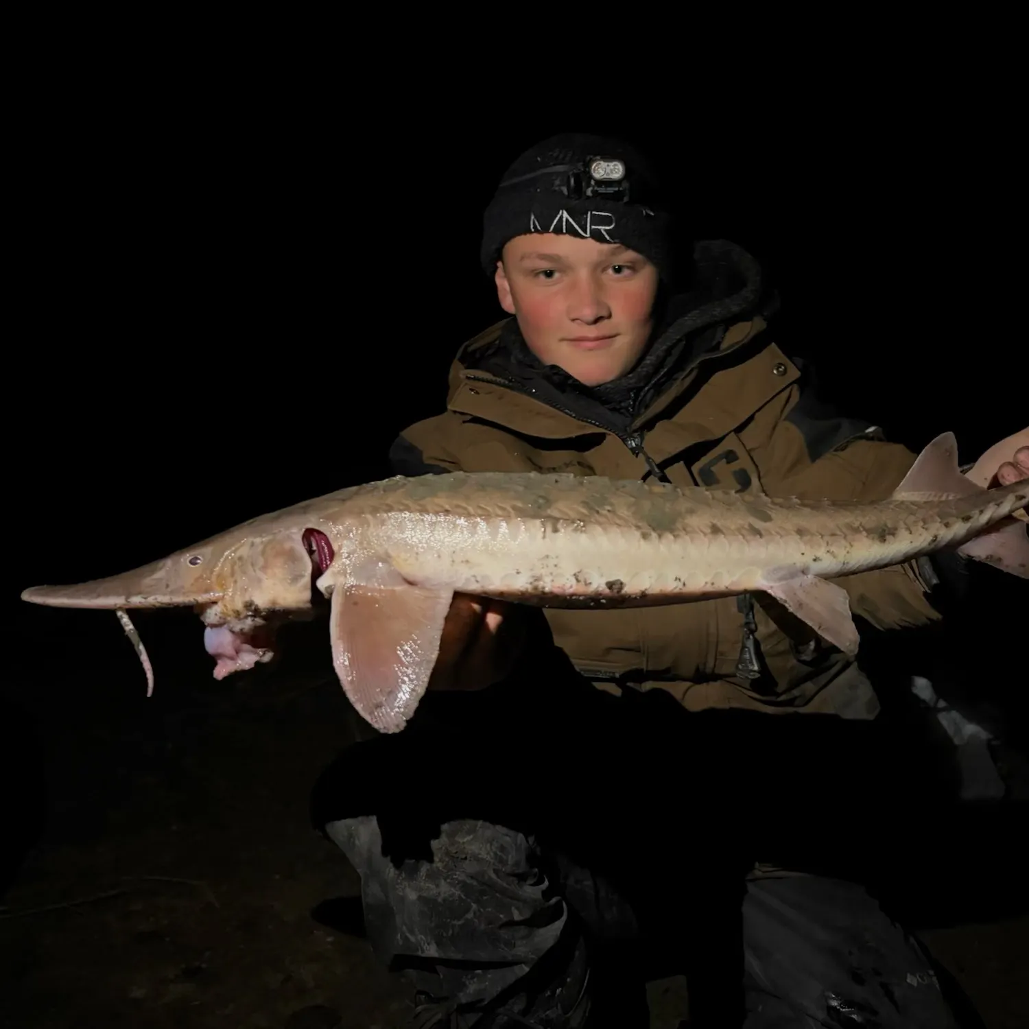 The most recent Shovelnose sturgeon catches on Fishbrain