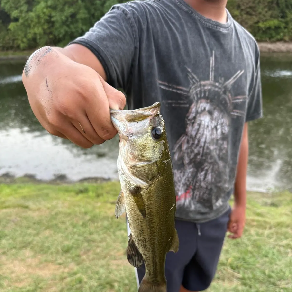 Largemouth bass caught on Fishbrain