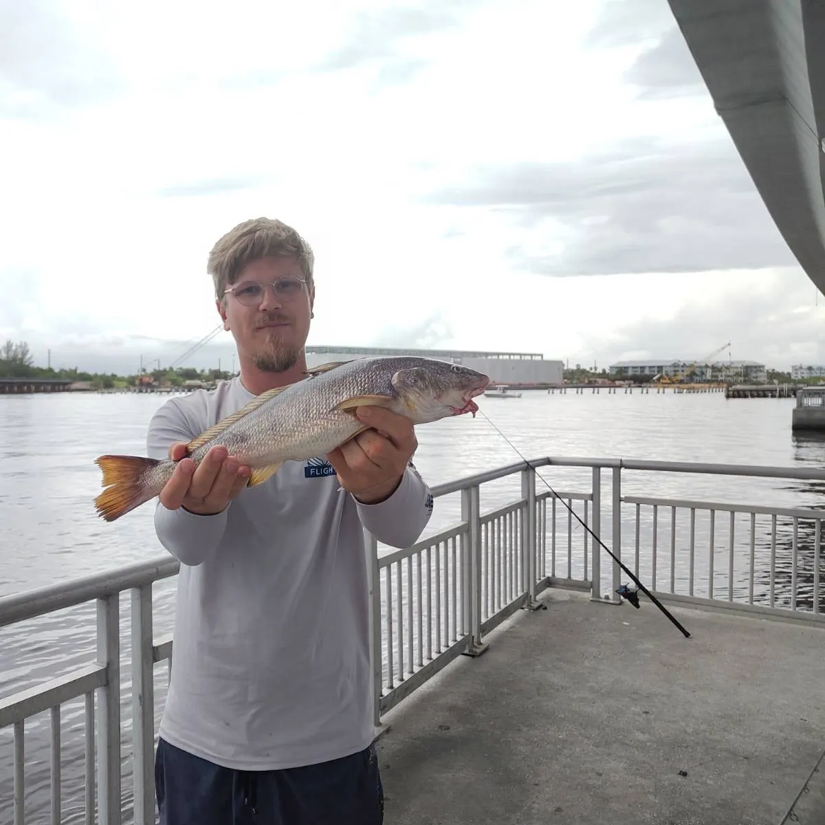 Southern kingcroaker caught on Fishbrain