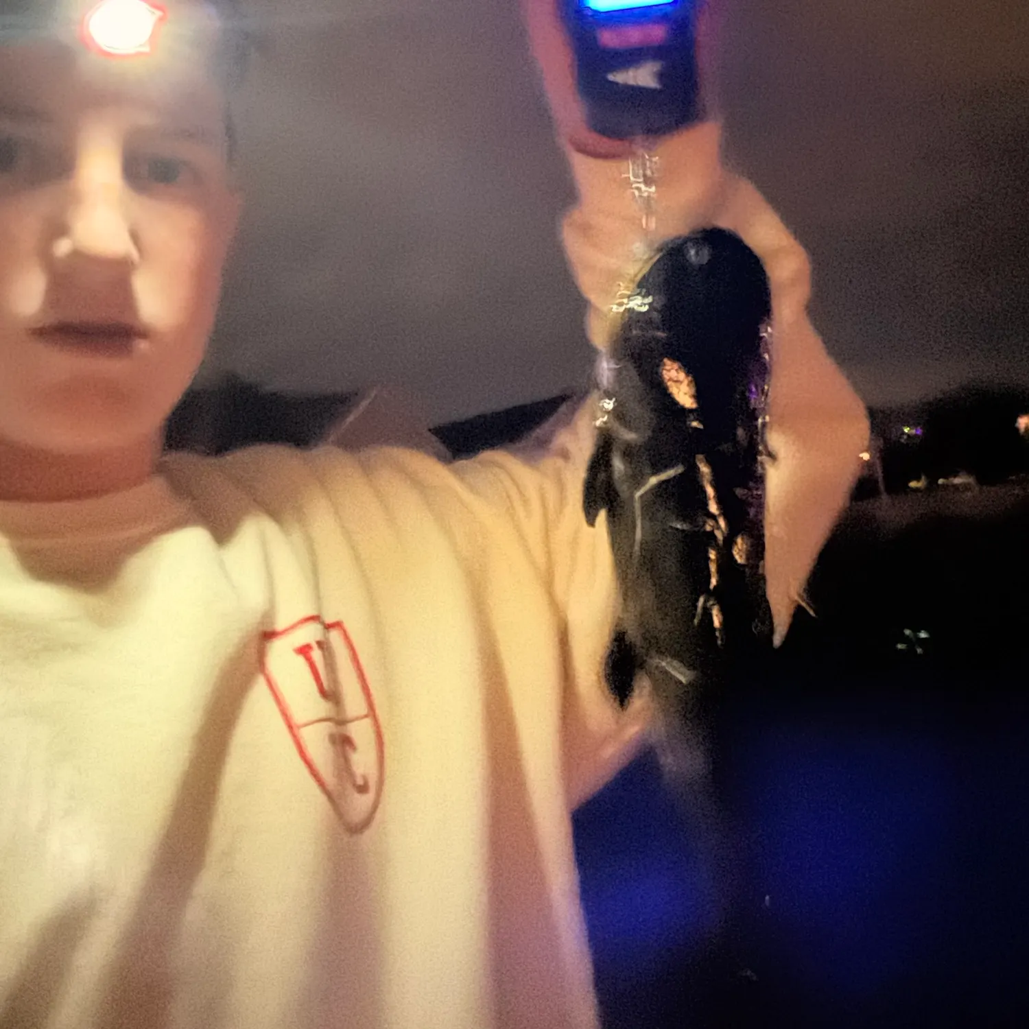 Channel catfish caught on Fishbrain