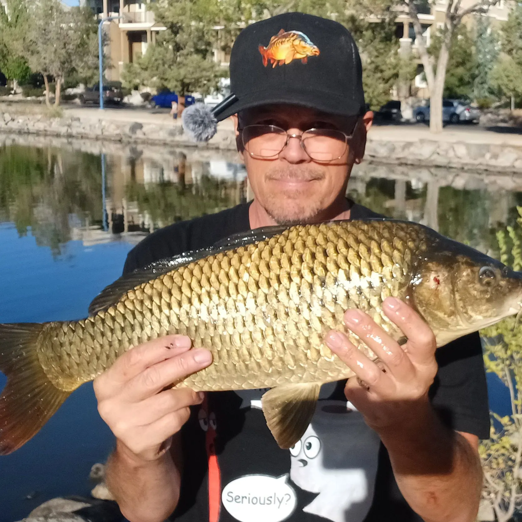 Common carp caught on Fishbrain