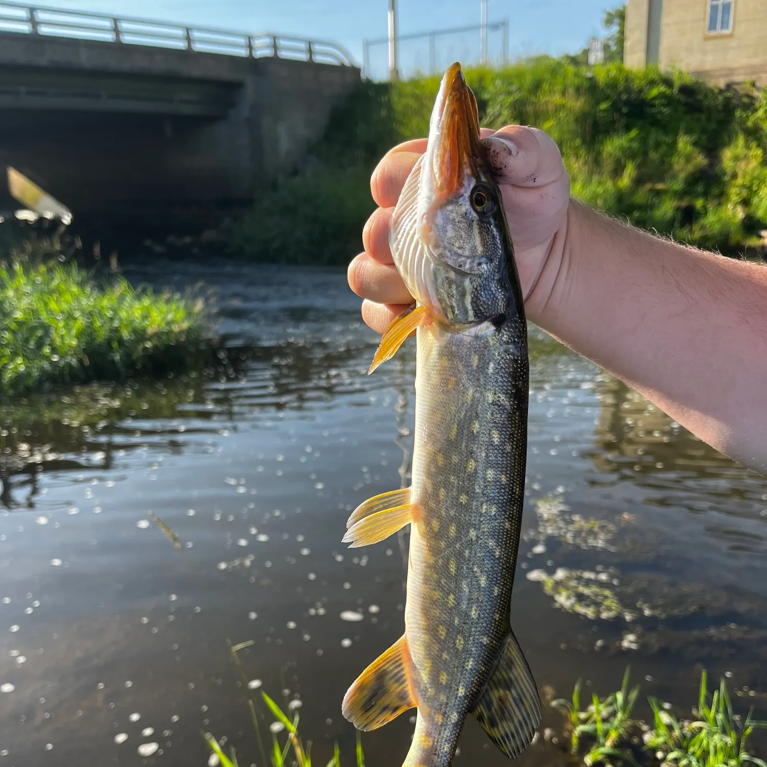 catch