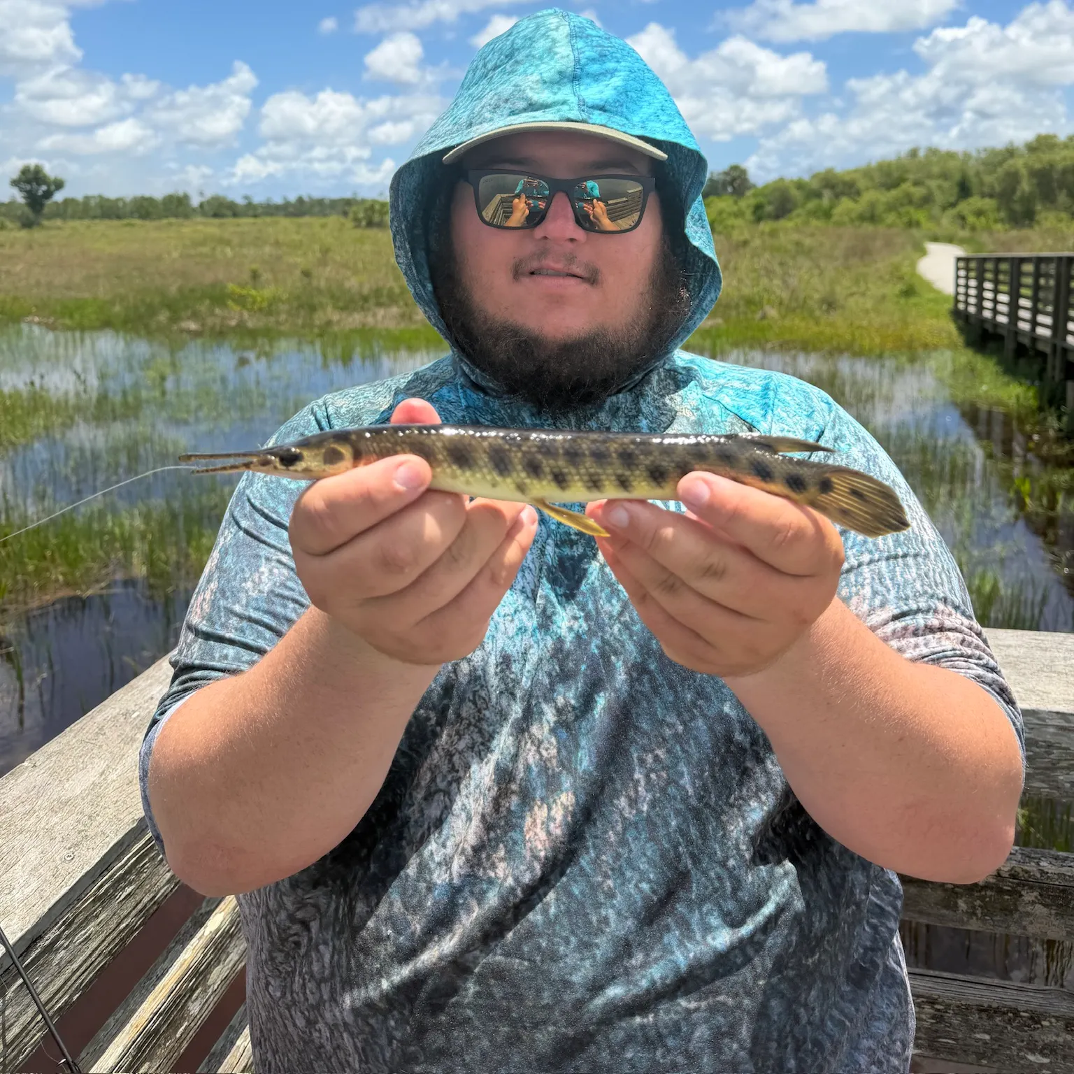 The most recent Spotted gar catches on Fishbrain