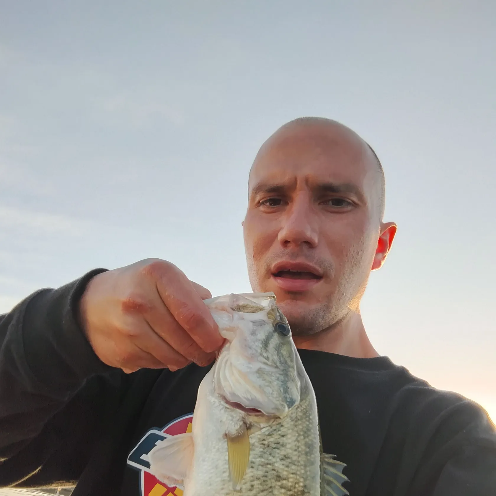 Spotted bass caught on Fishbrain