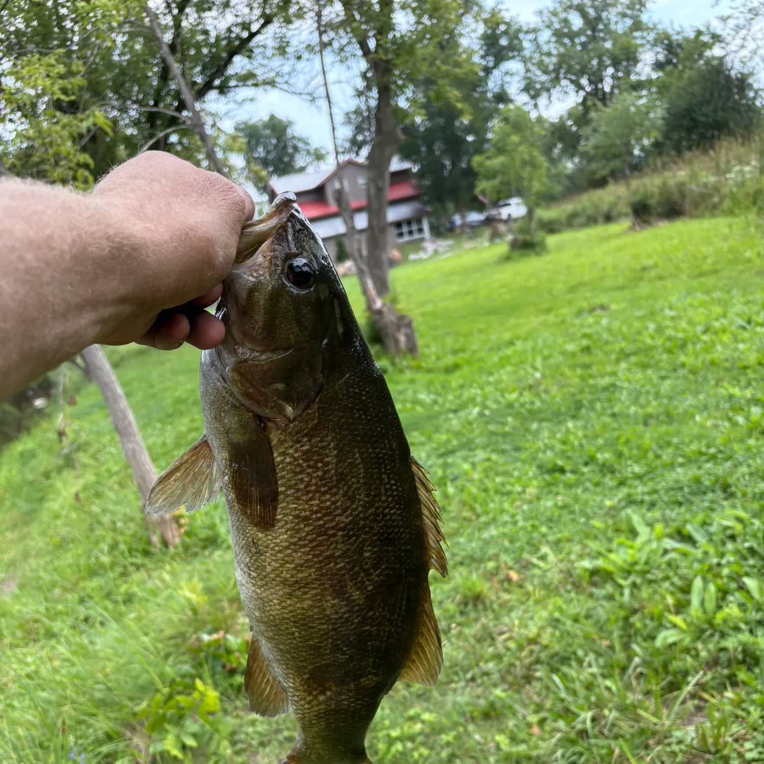 catch