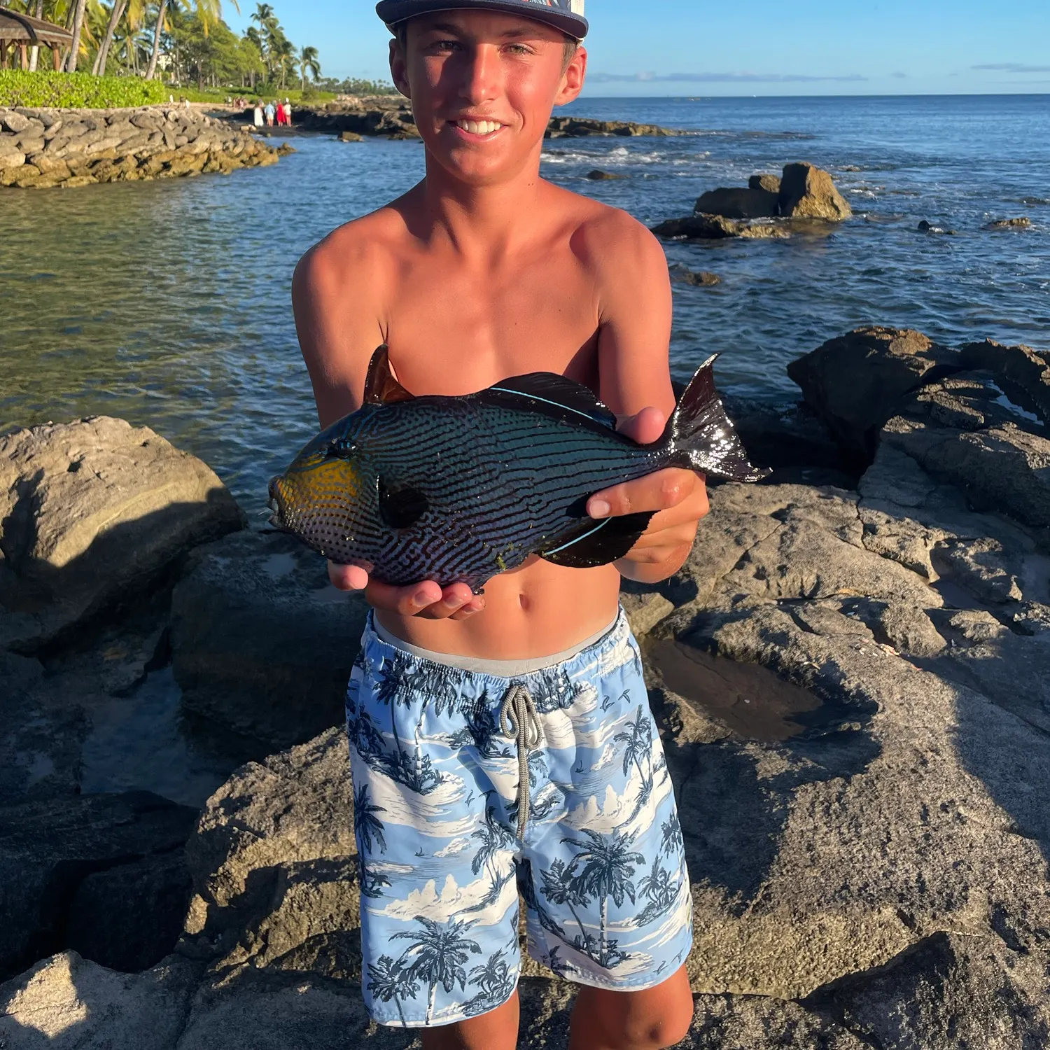 The most recent Black triggerfish catches on Fishbrain