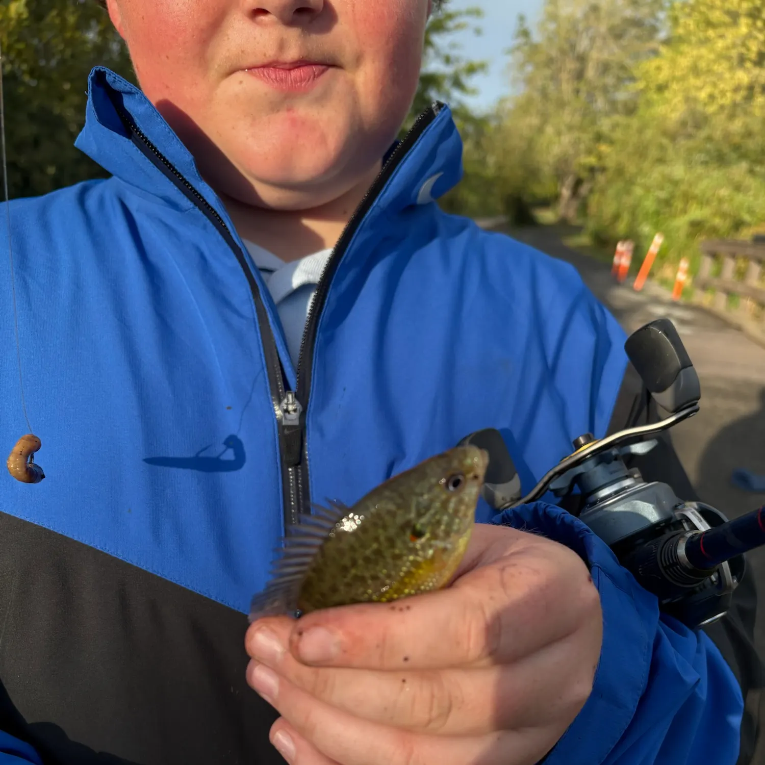 Pumpkinseed caught on Fishbrain