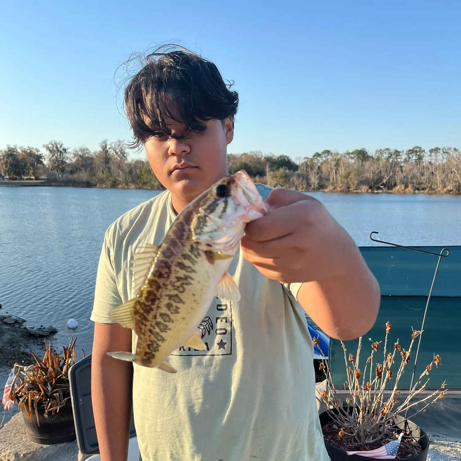 The most recent Guadalupe bass catches on Fishbrain