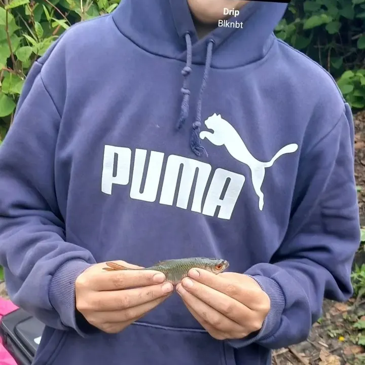 The most recent Common roach catches on Fishbrain