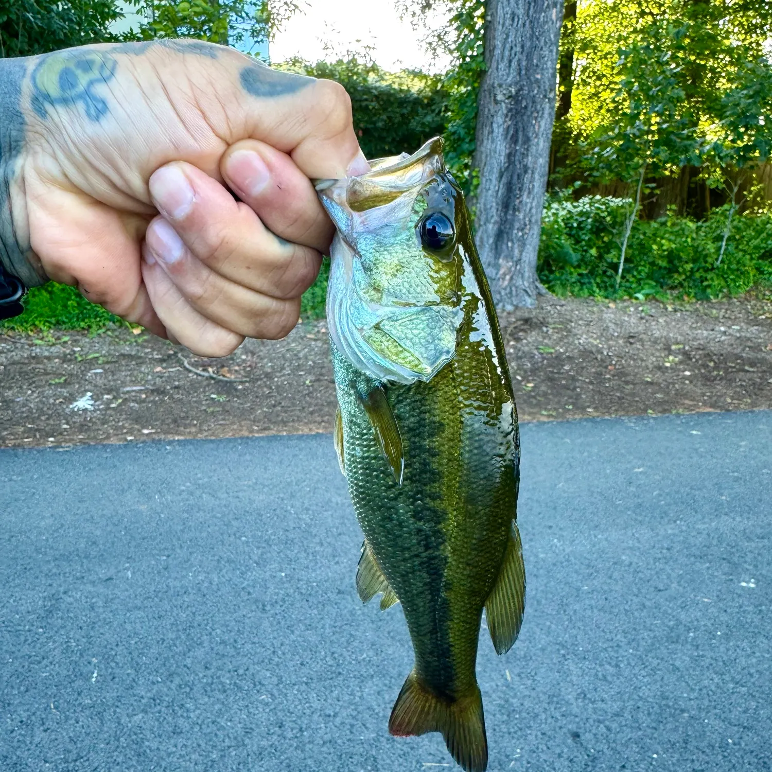 catch