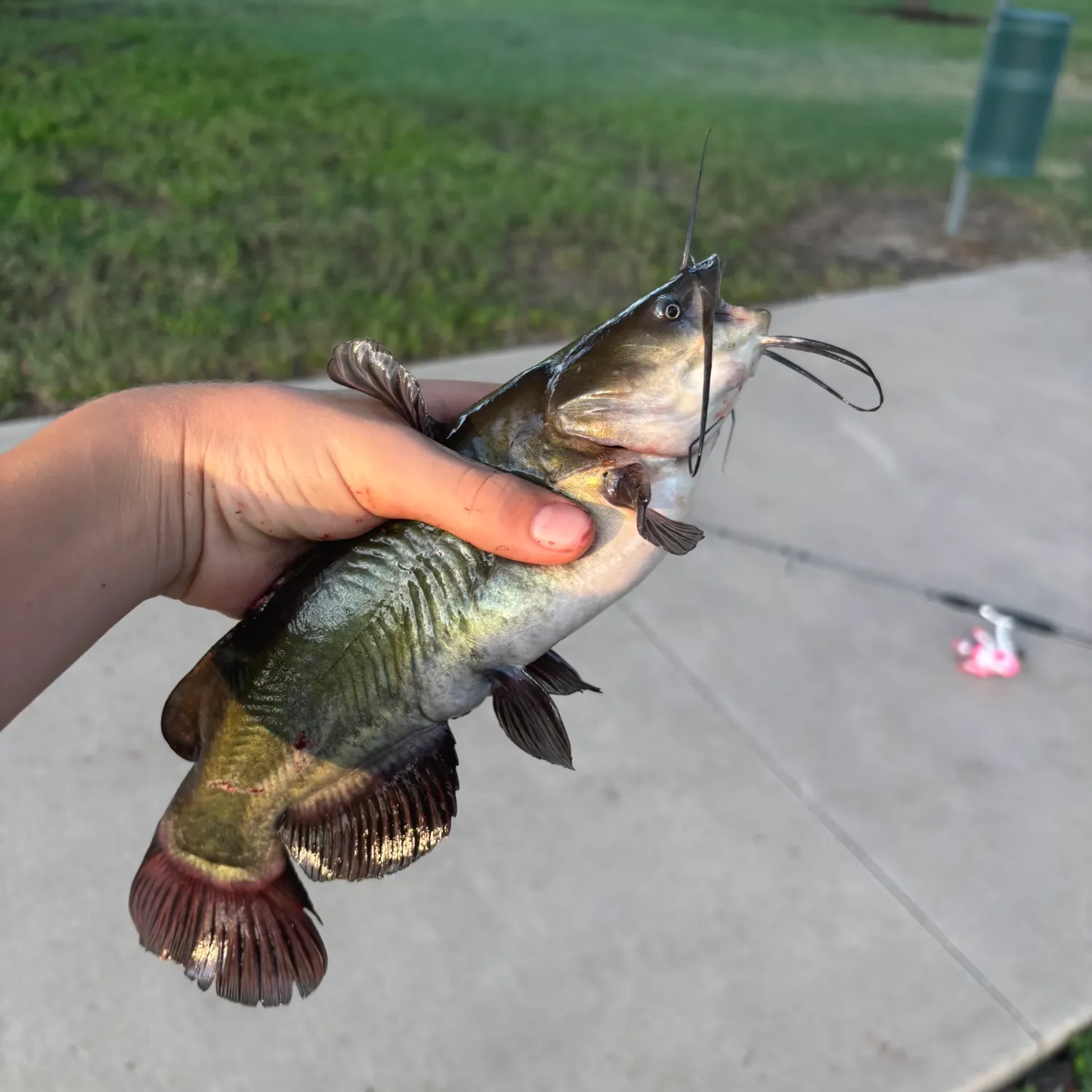 catch