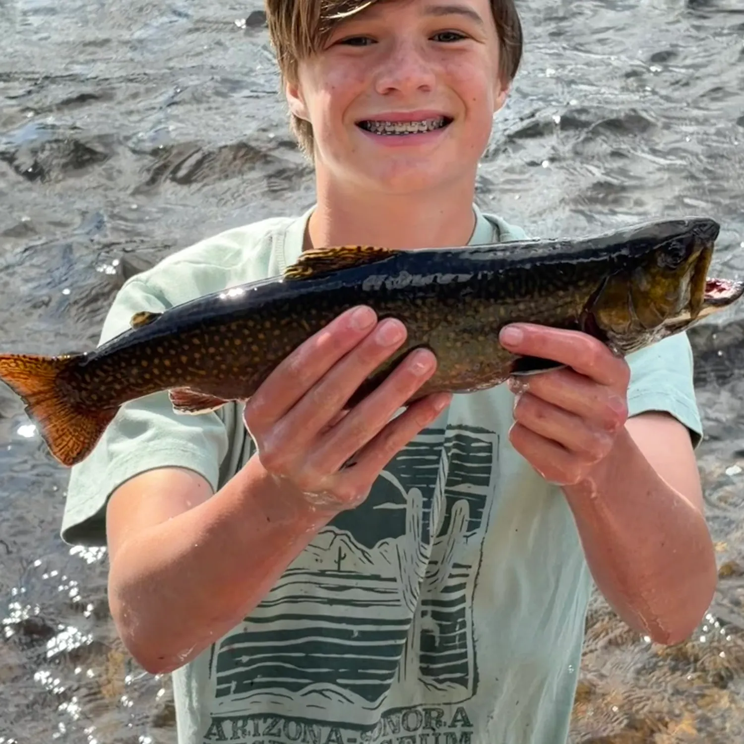 Brook trout caught on Fishbrain