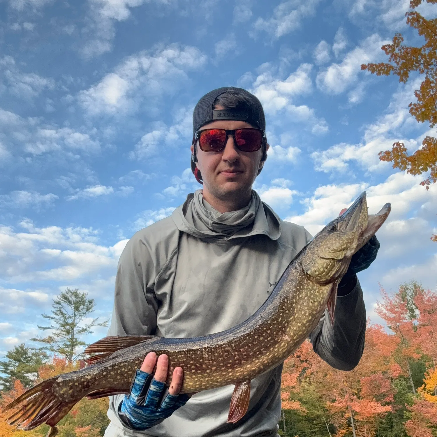 Northern pike caught on Fishbrain