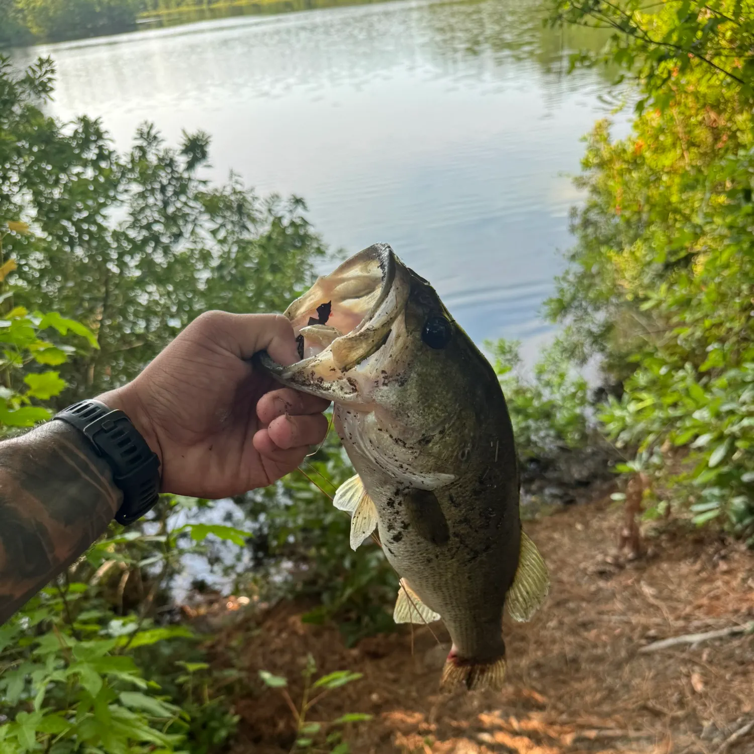 catch