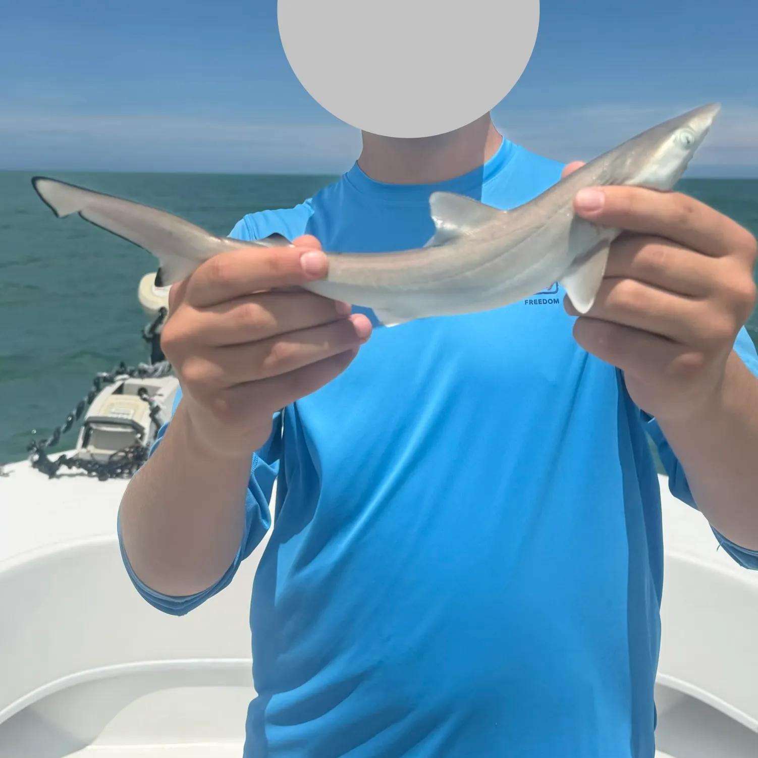 The most recent Blacktip reef shark catches on Fishbrain