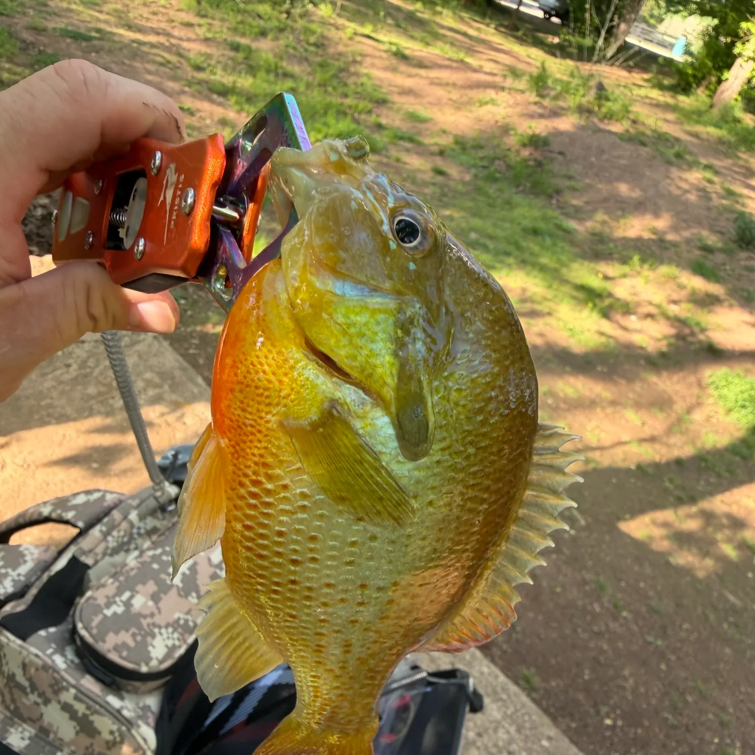 catch