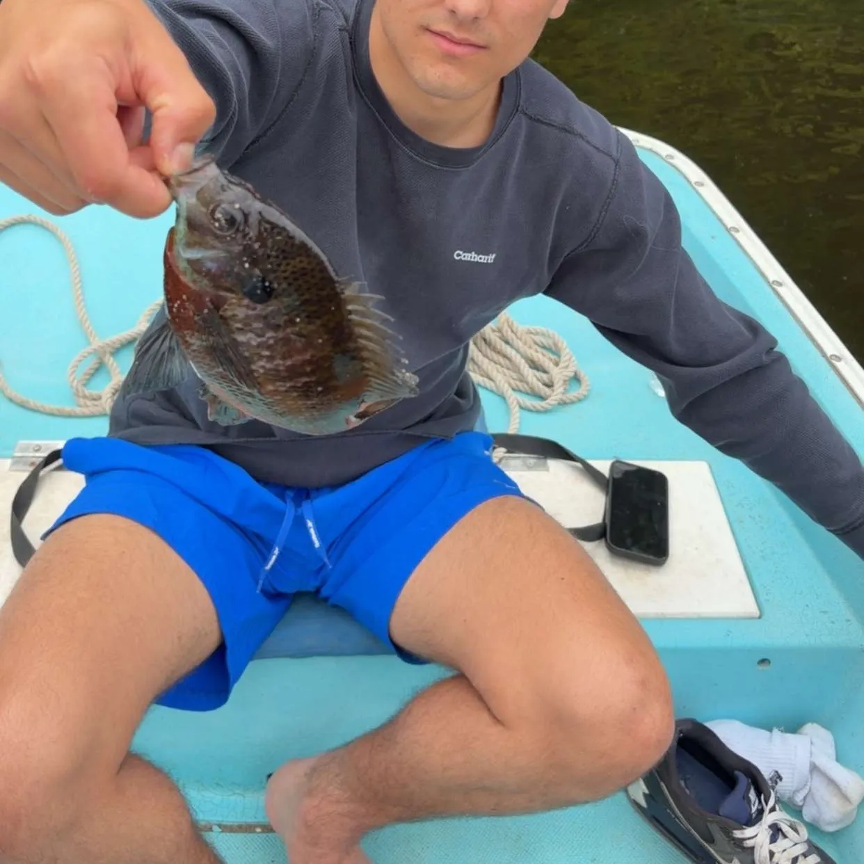 recently logged catches