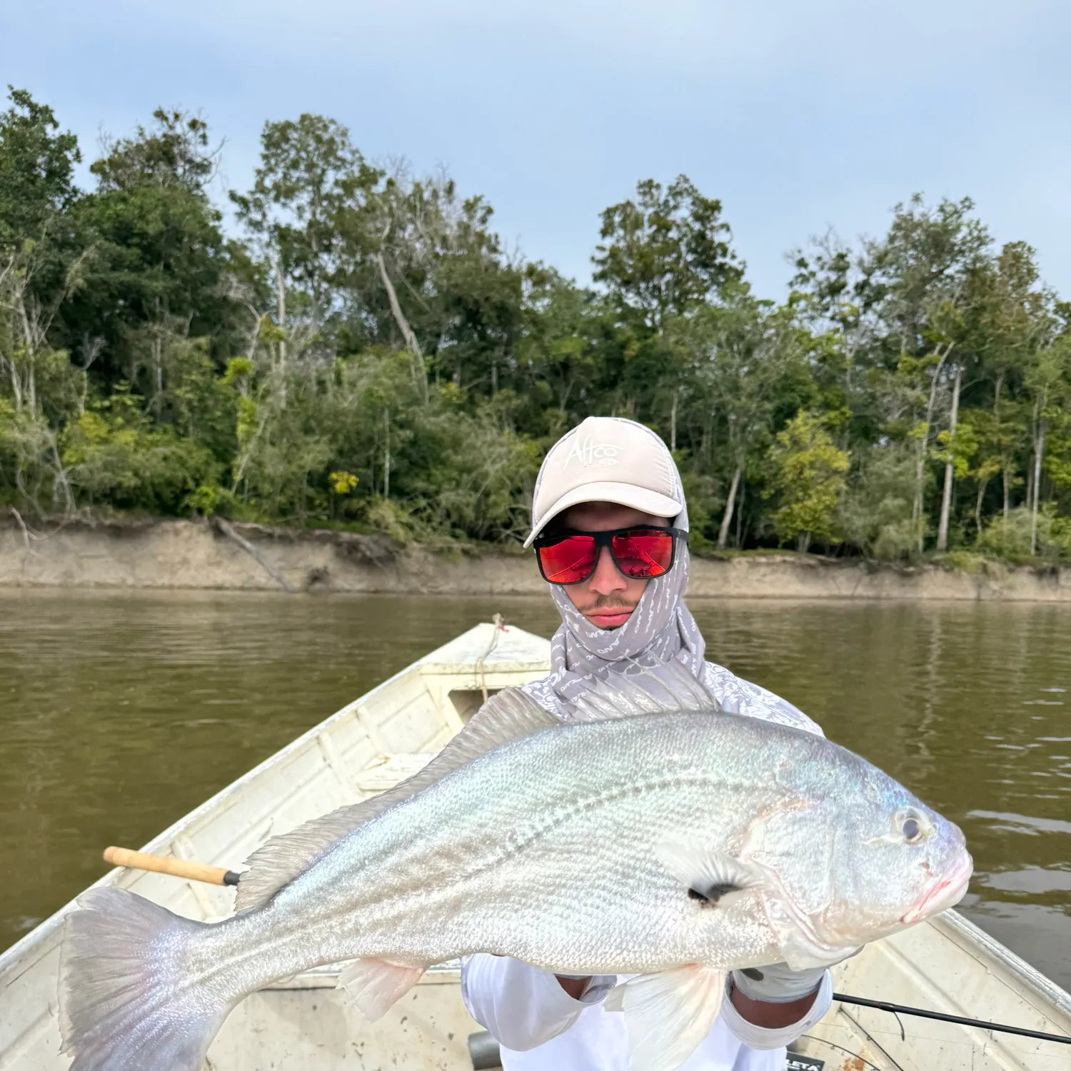 The most recent South American silver croaker catches on Fishbrain