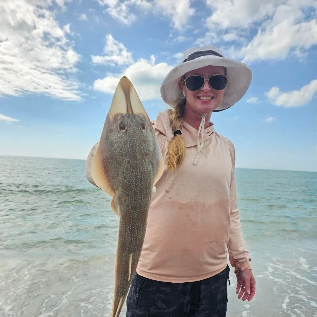 The most recent Atlantic shovelnose guitarfish catches on Fishbrain