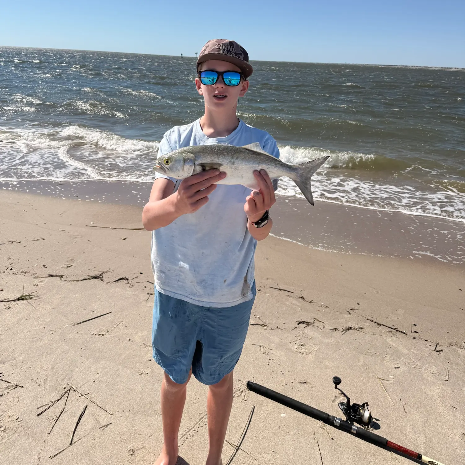 Bluefish caught on Fishbrain