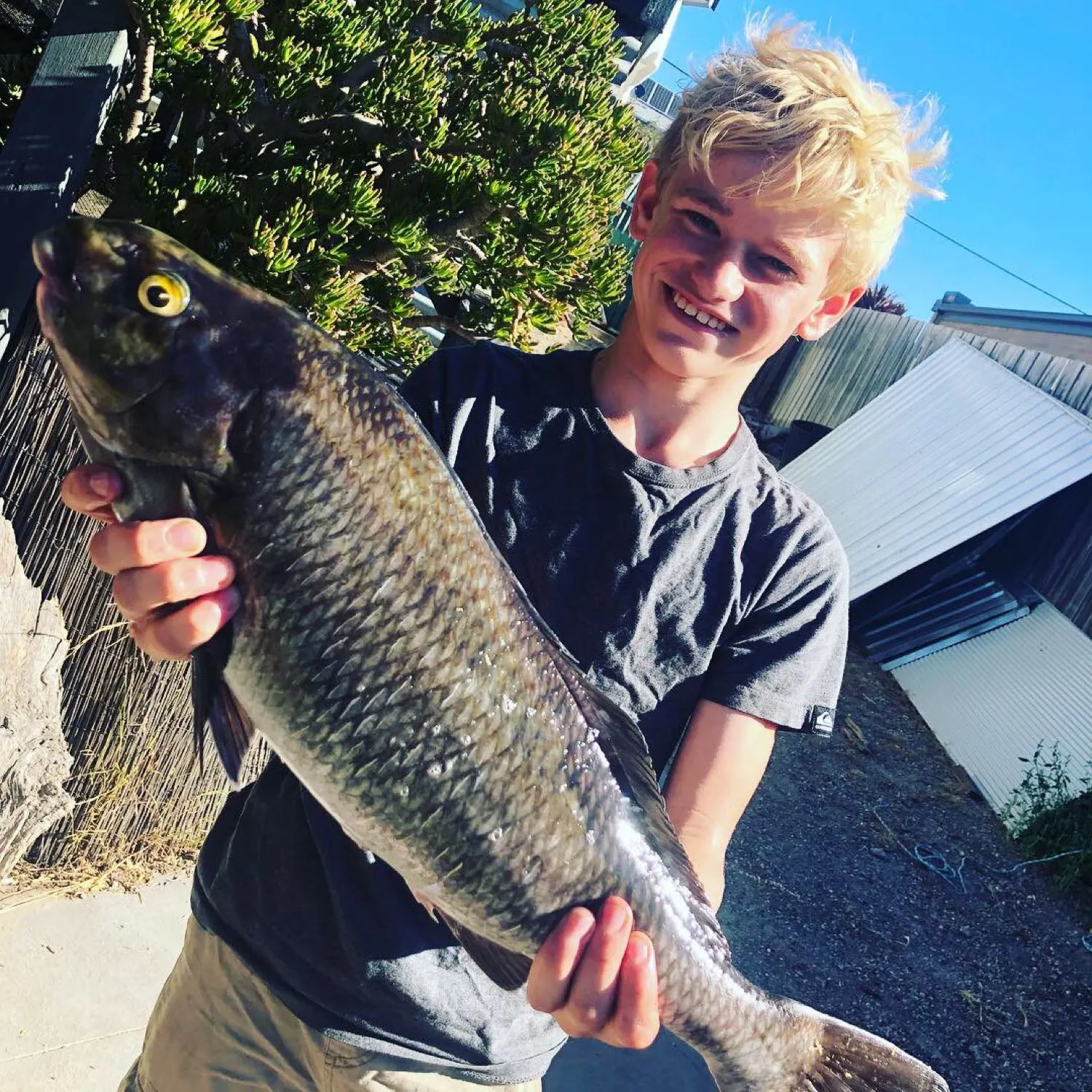 Post image from kbullock7052