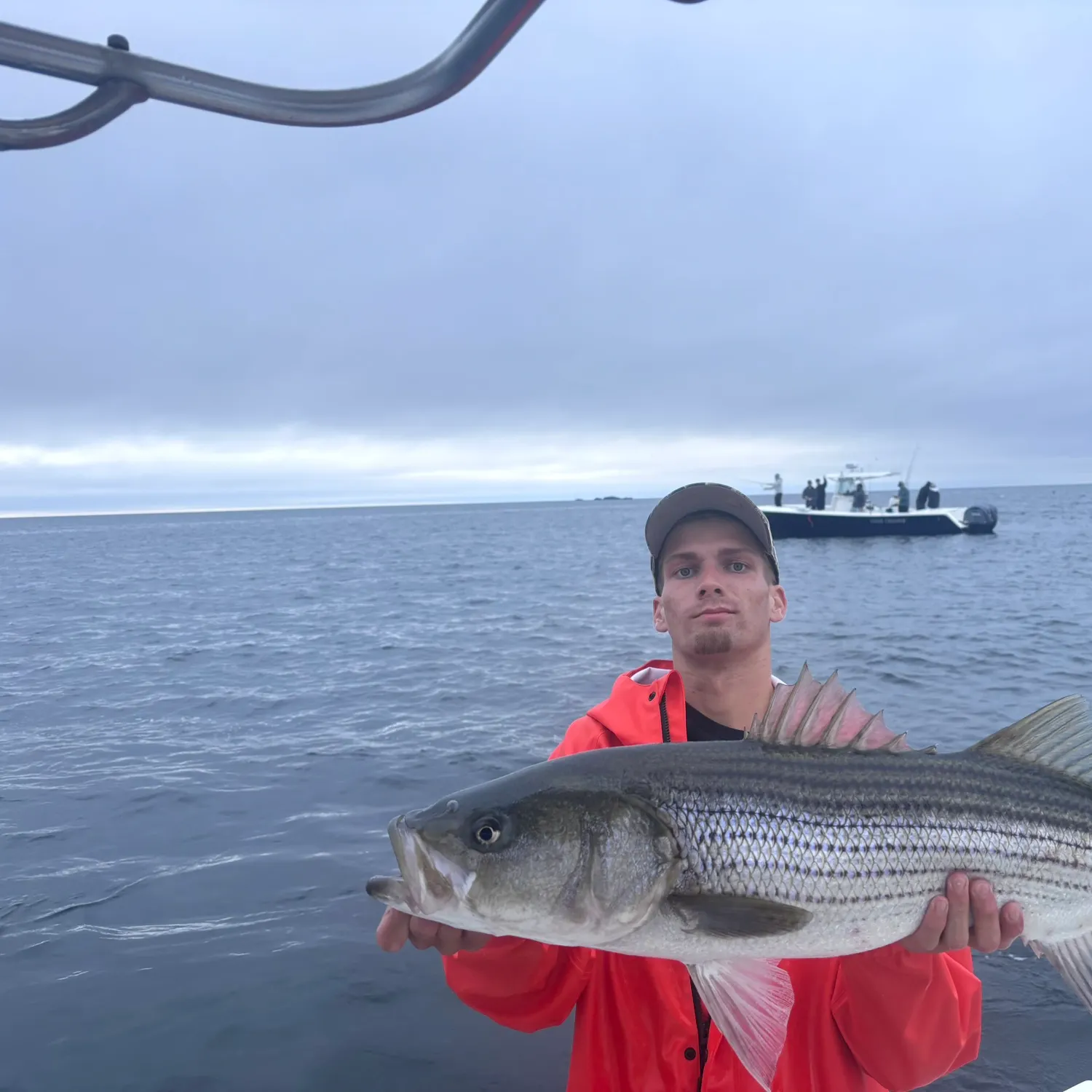 Striped bass caught on Fishbrain