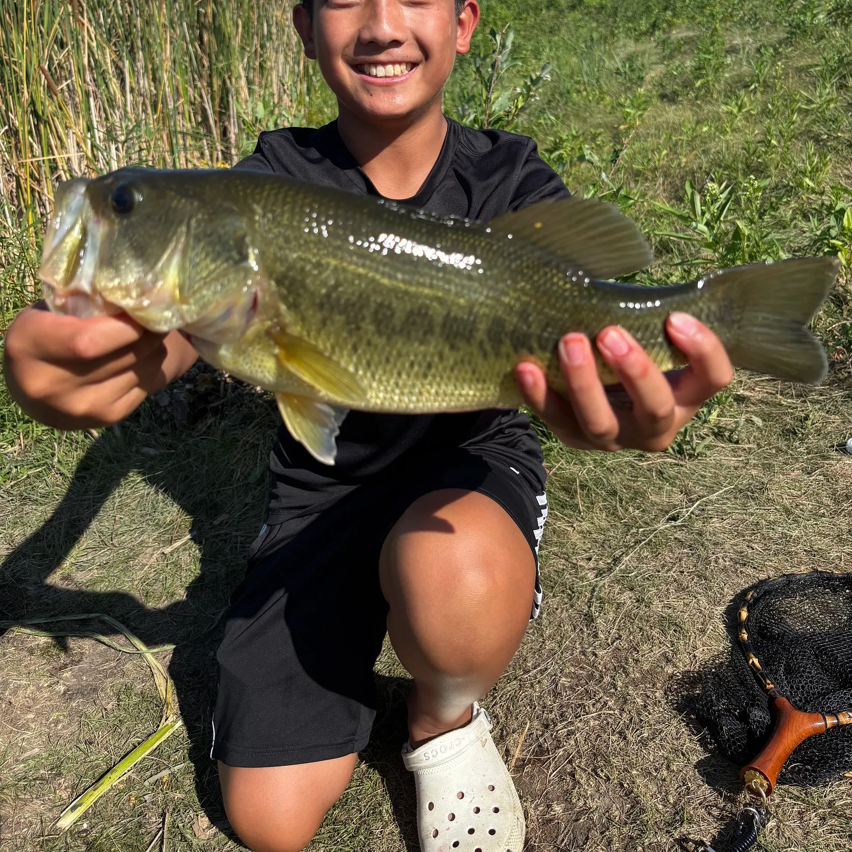 Largemouth bass caught on Fishbrain
