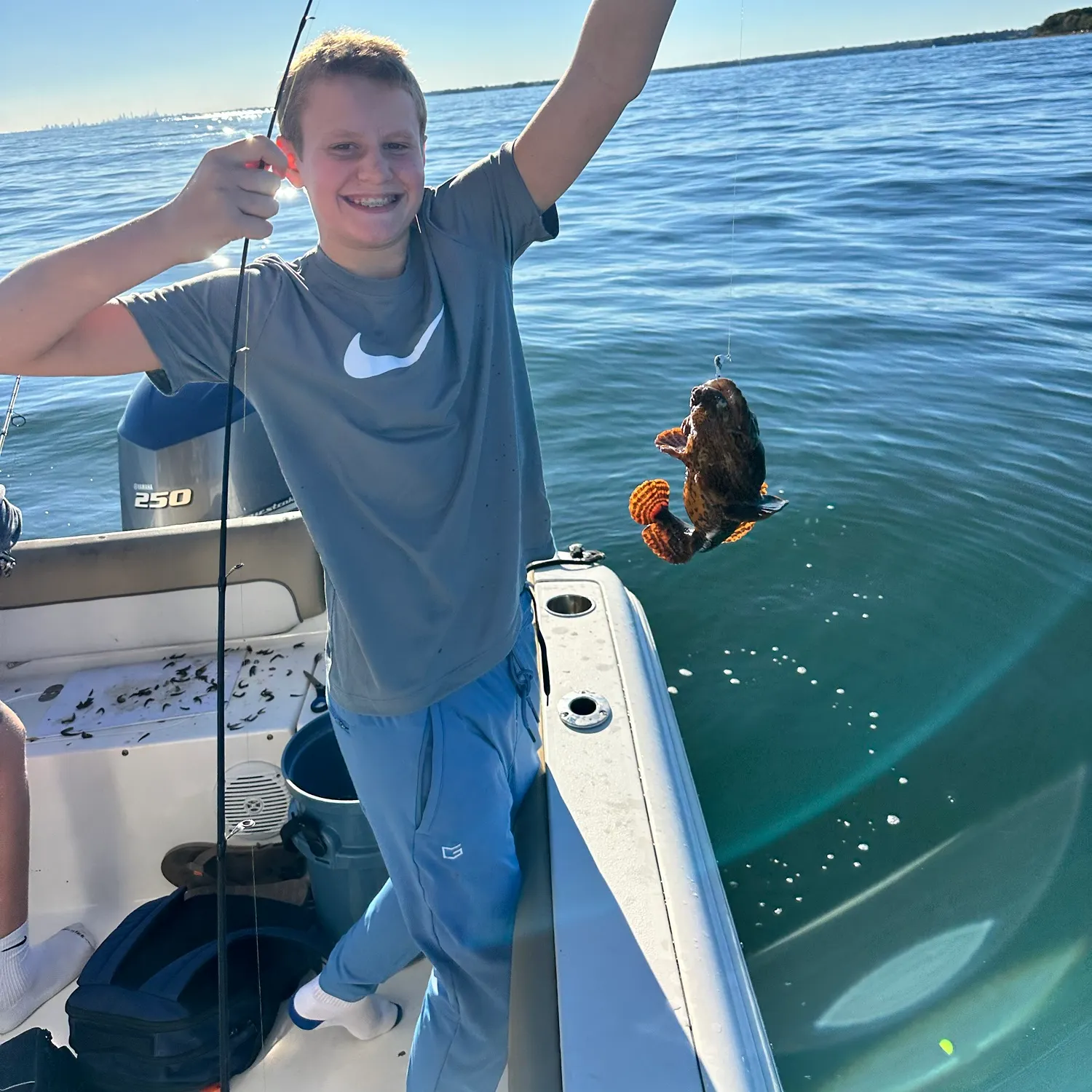 The most recent Oyster toadfish catches on Fishbrain