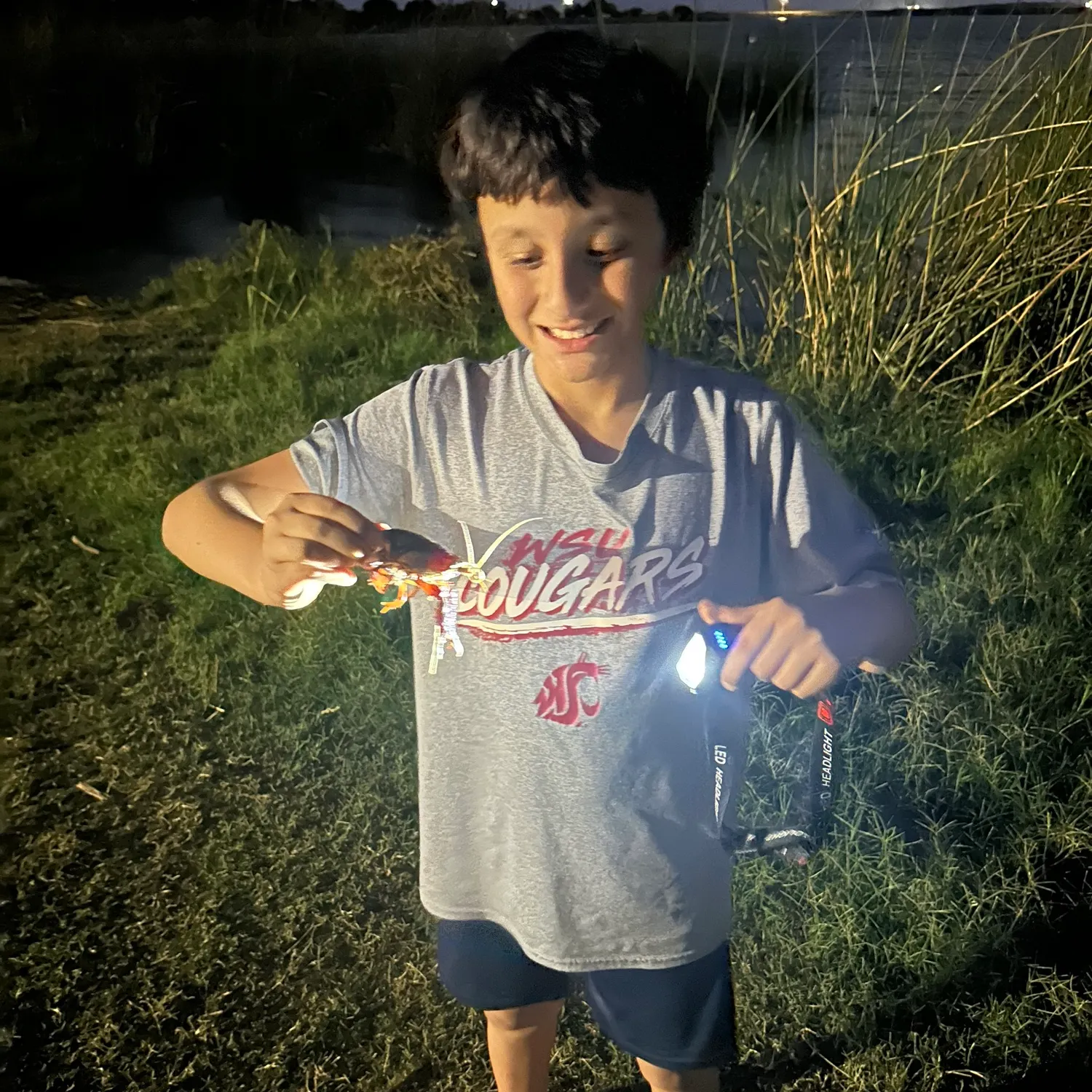 The most recent Red swamp crayfish catches on Fishbrain